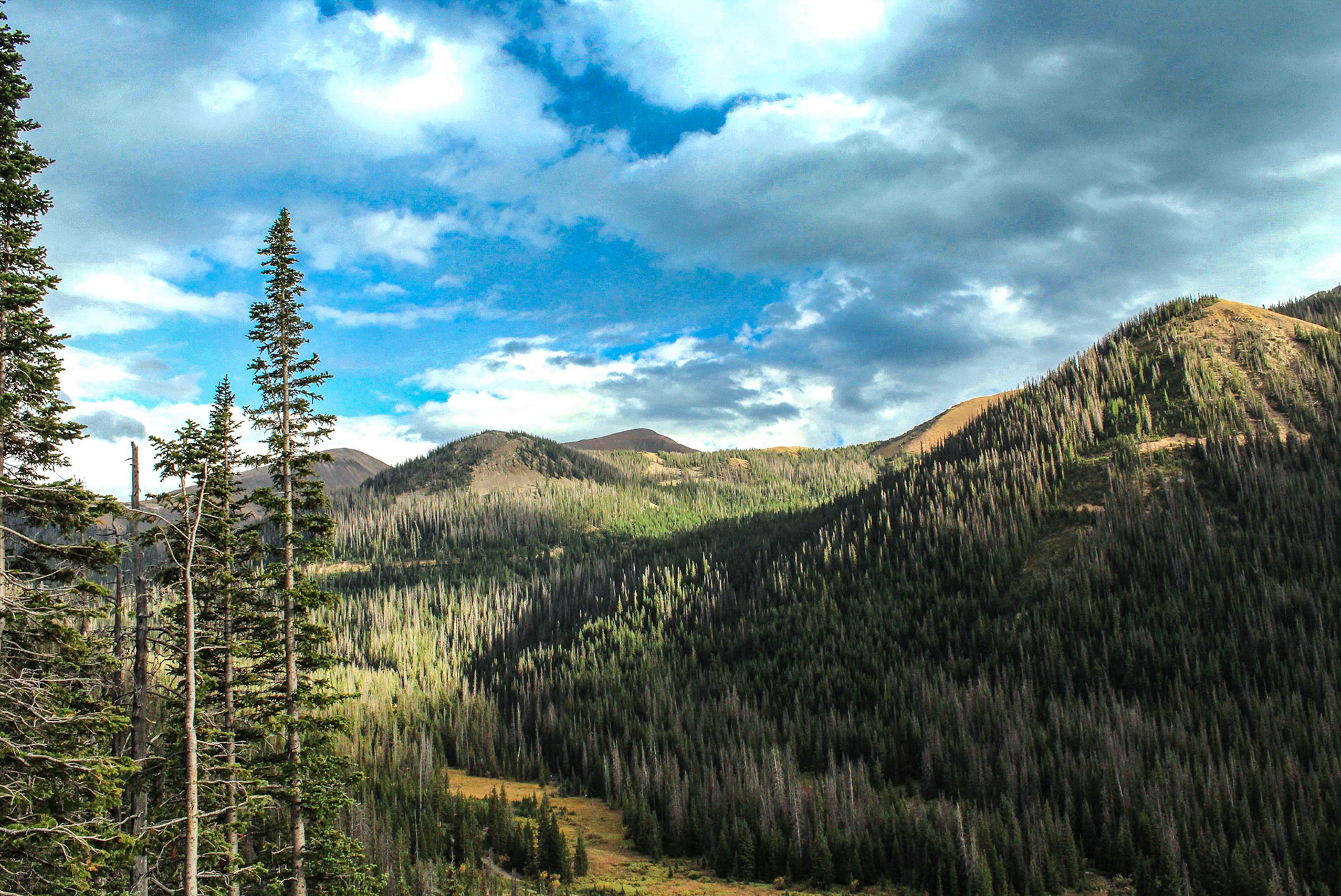 Cameron Pass