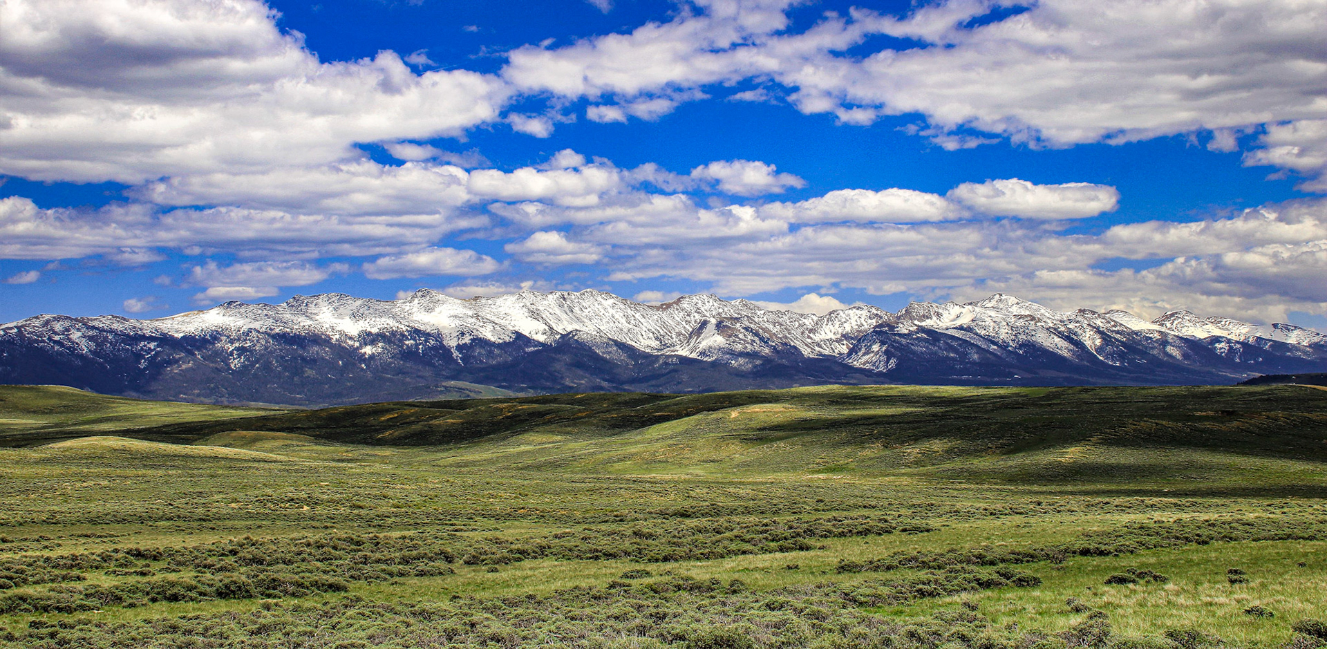 Late Spring in the Rawahs