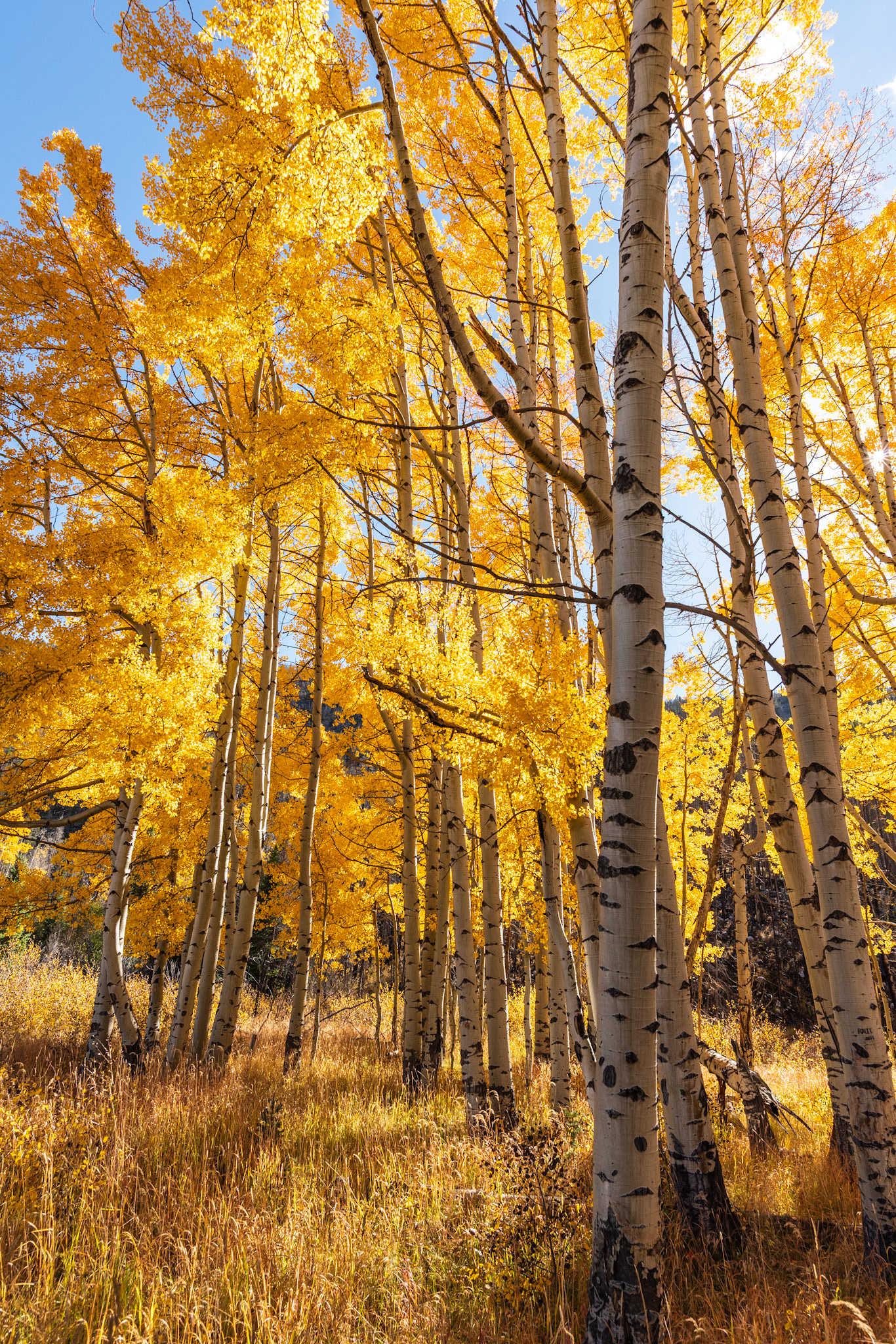 @kpphotogalleries.com