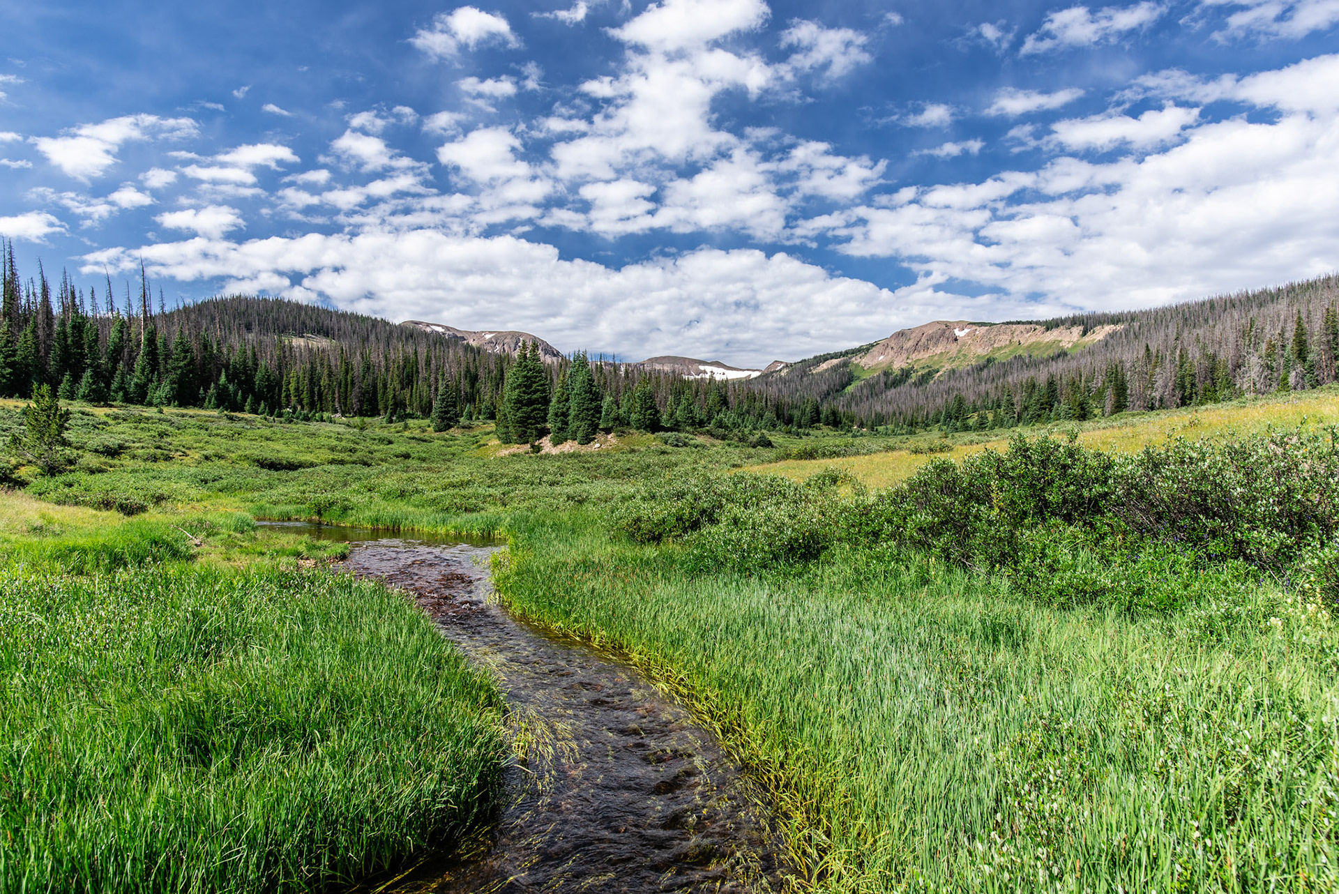 Corral Creek