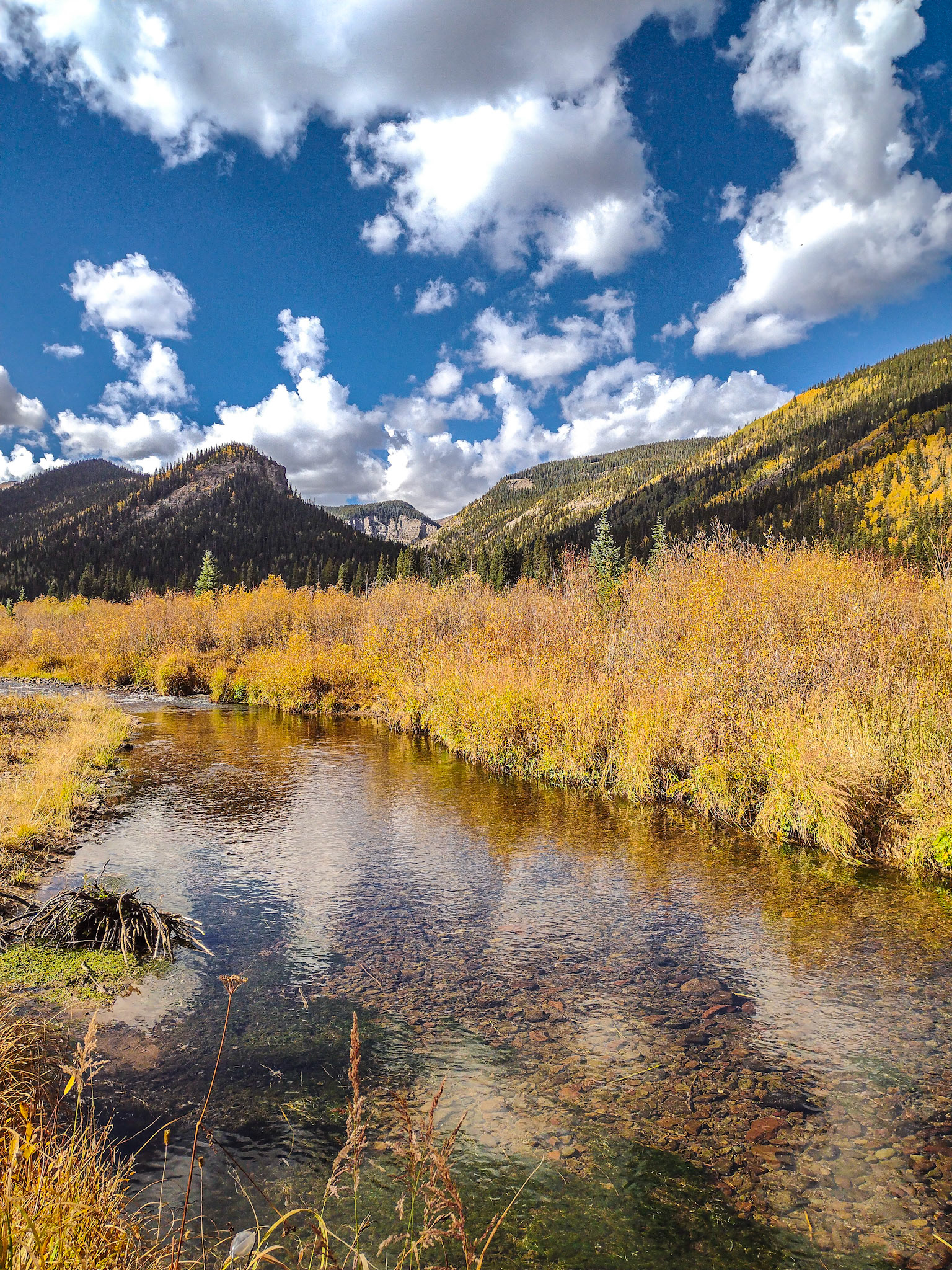 Big Blue Reflections (cell phone capture)