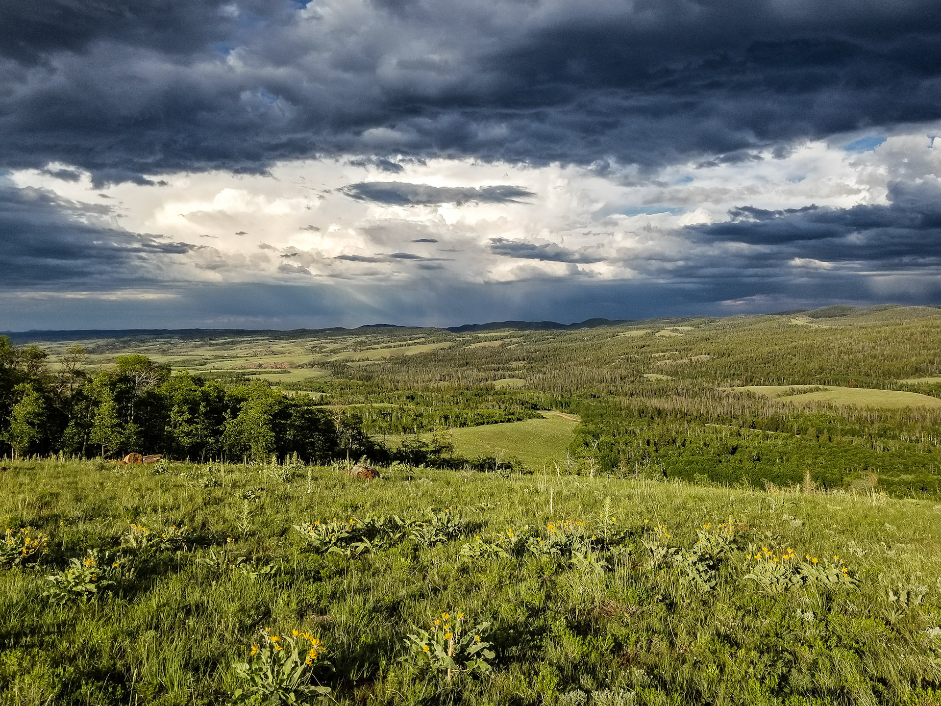 Storm moving in over Cherokee Park