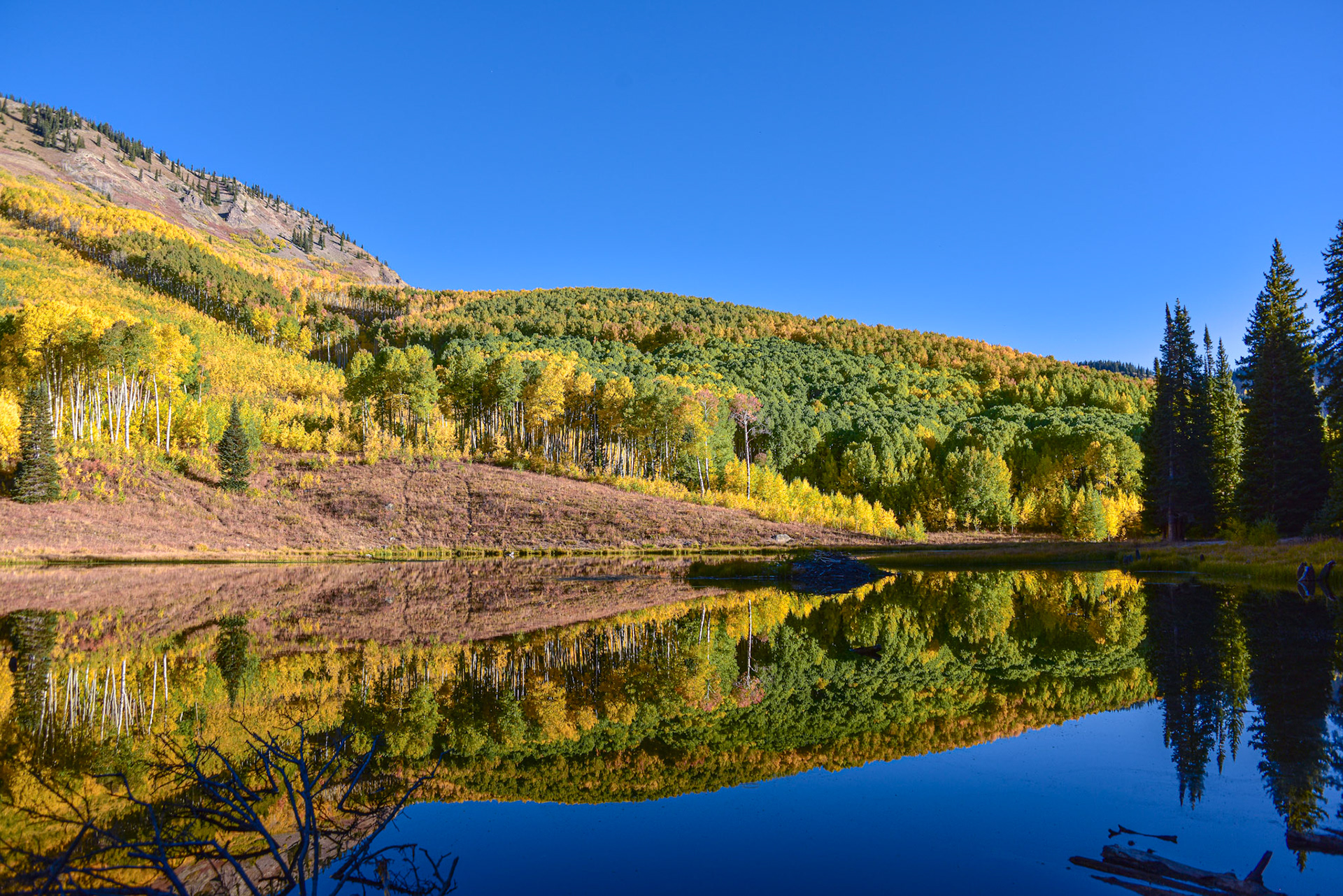 I've taken a lot of pics on this trail.  It's easy to see why.