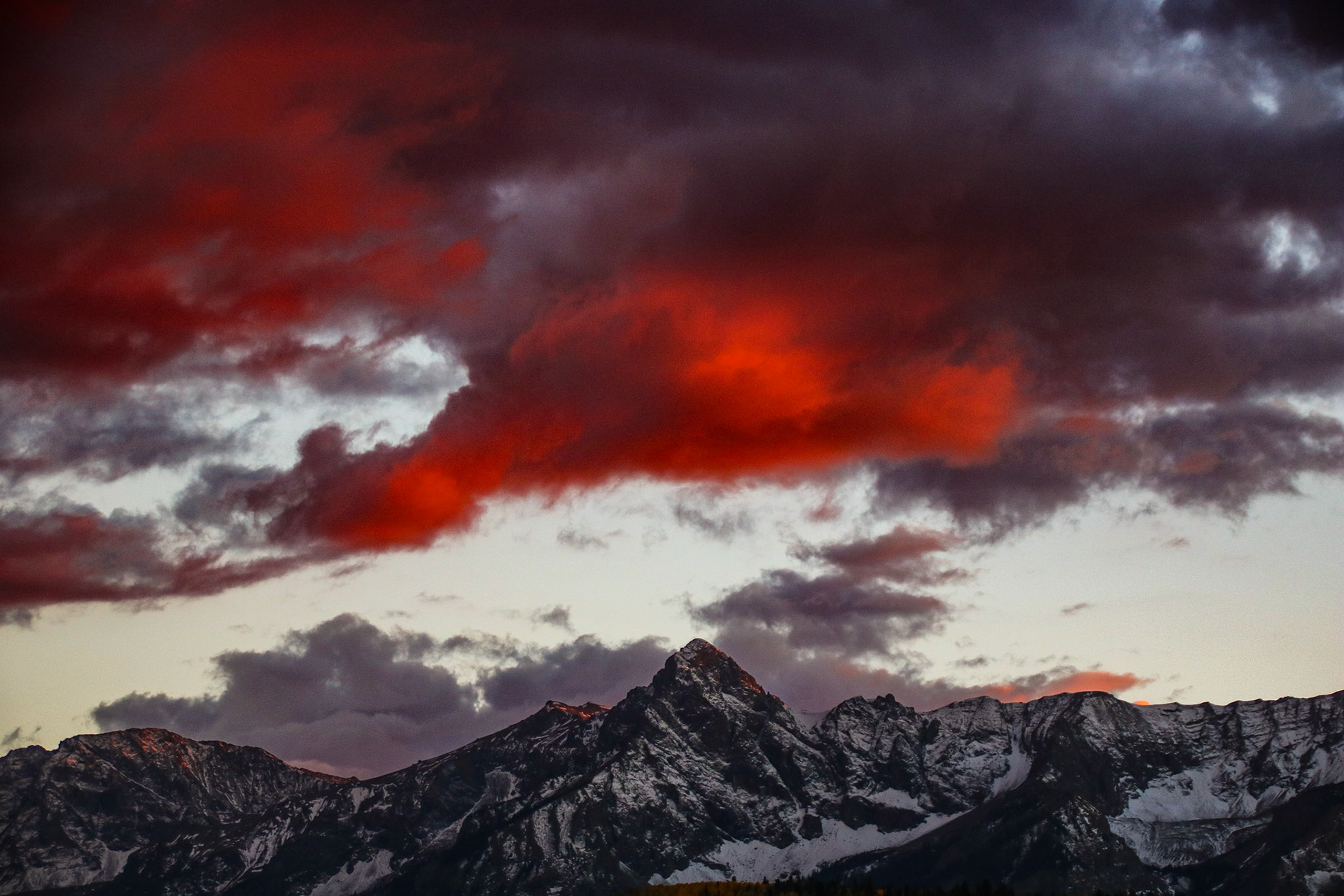 The last 10-15 minutes of daylight rewarded me with a great photo.  Albeit slightly out of focus.  They don't always have to be perfect.