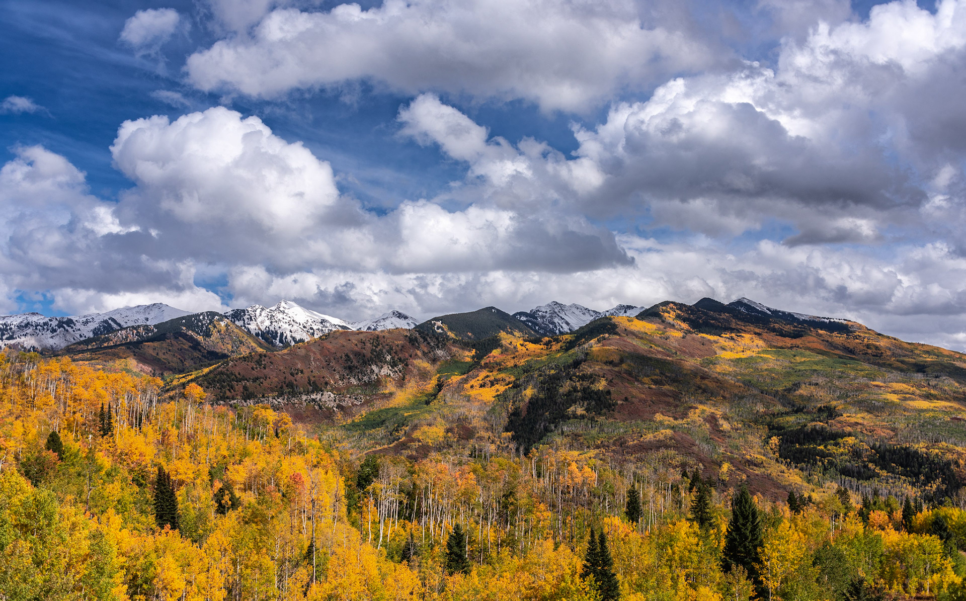 @kpphotogalleries.com