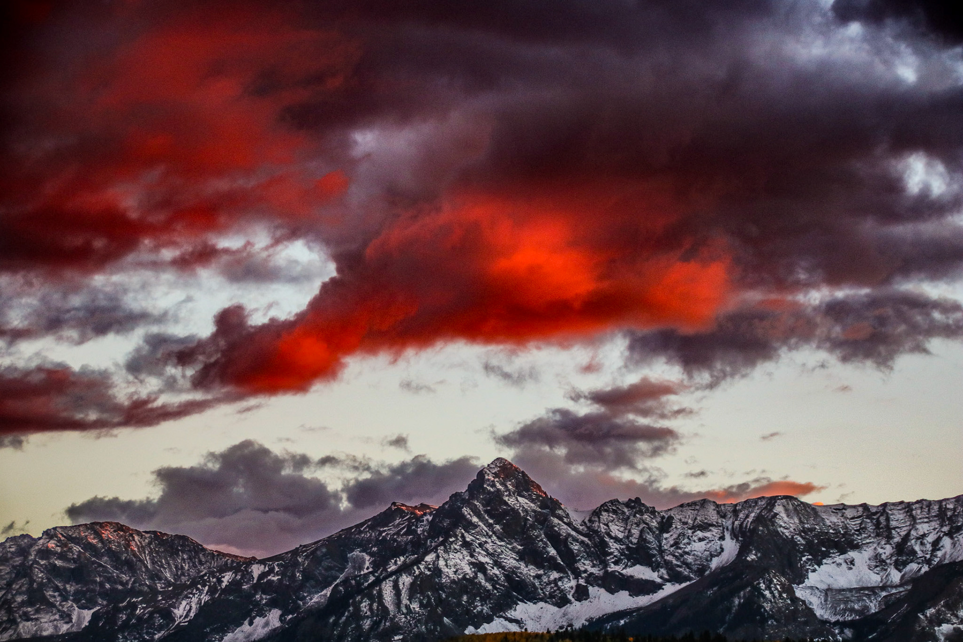 The last 10-15 minutes of daylight rewarded me with a great photo.  Albeit slightly out of focus.  They don't always have to be perfect.