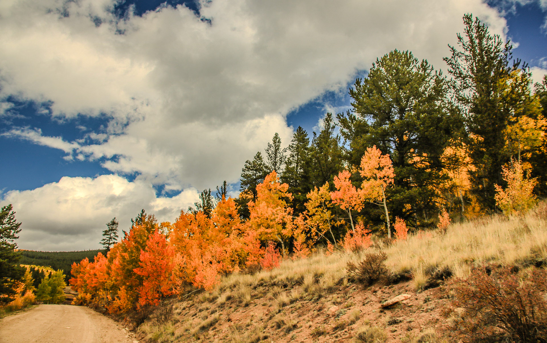 The first Autumn photo I ever captured with my T6i. @kpphotogalleries.com