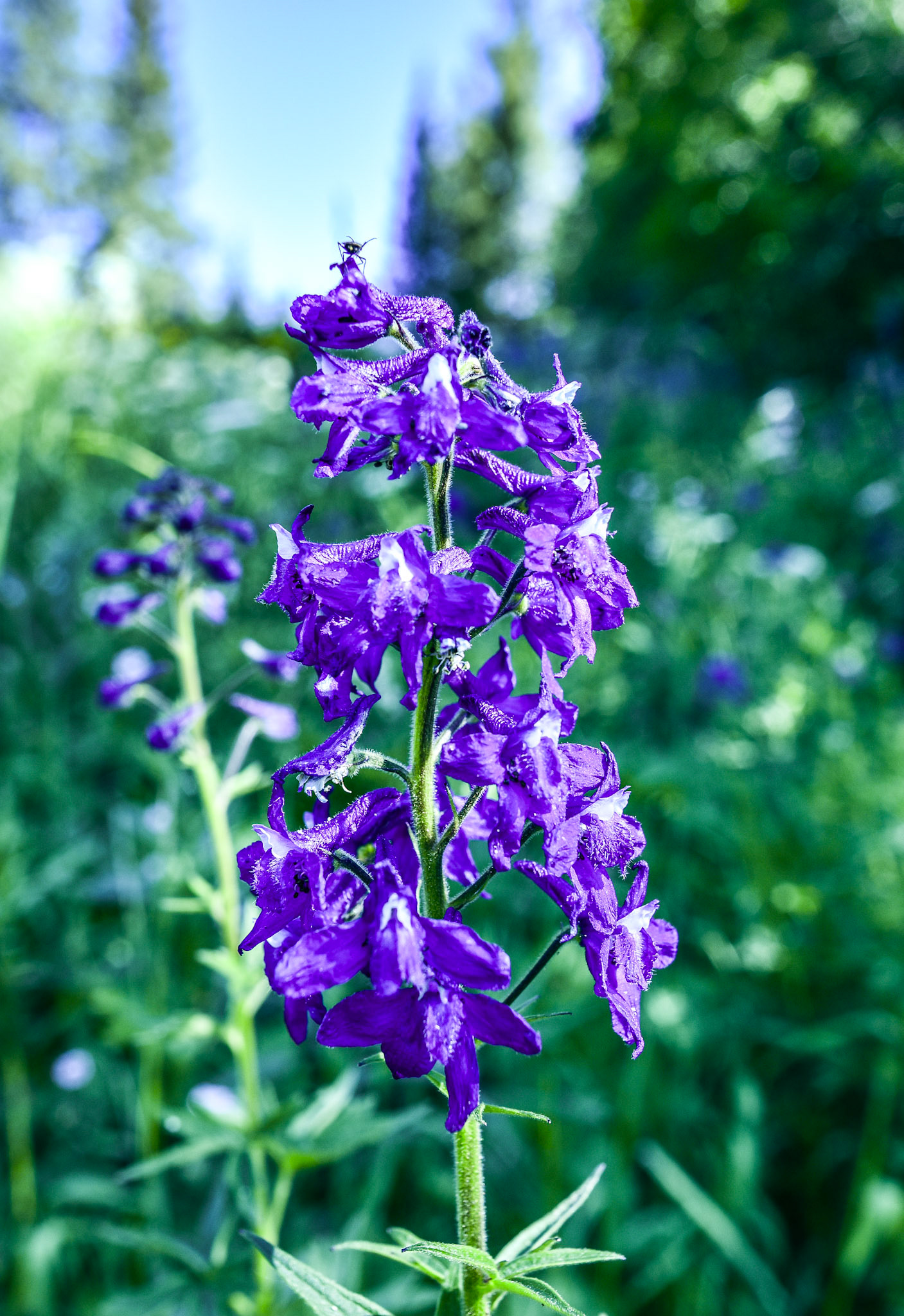 @kpphotogalleries.com