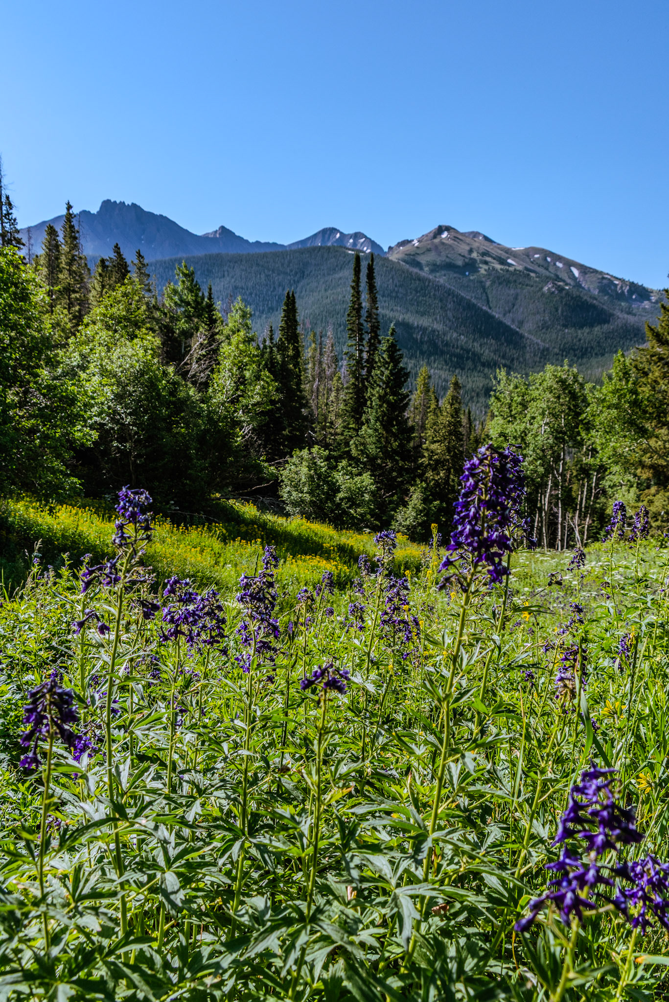 @kpphotogalleries.com