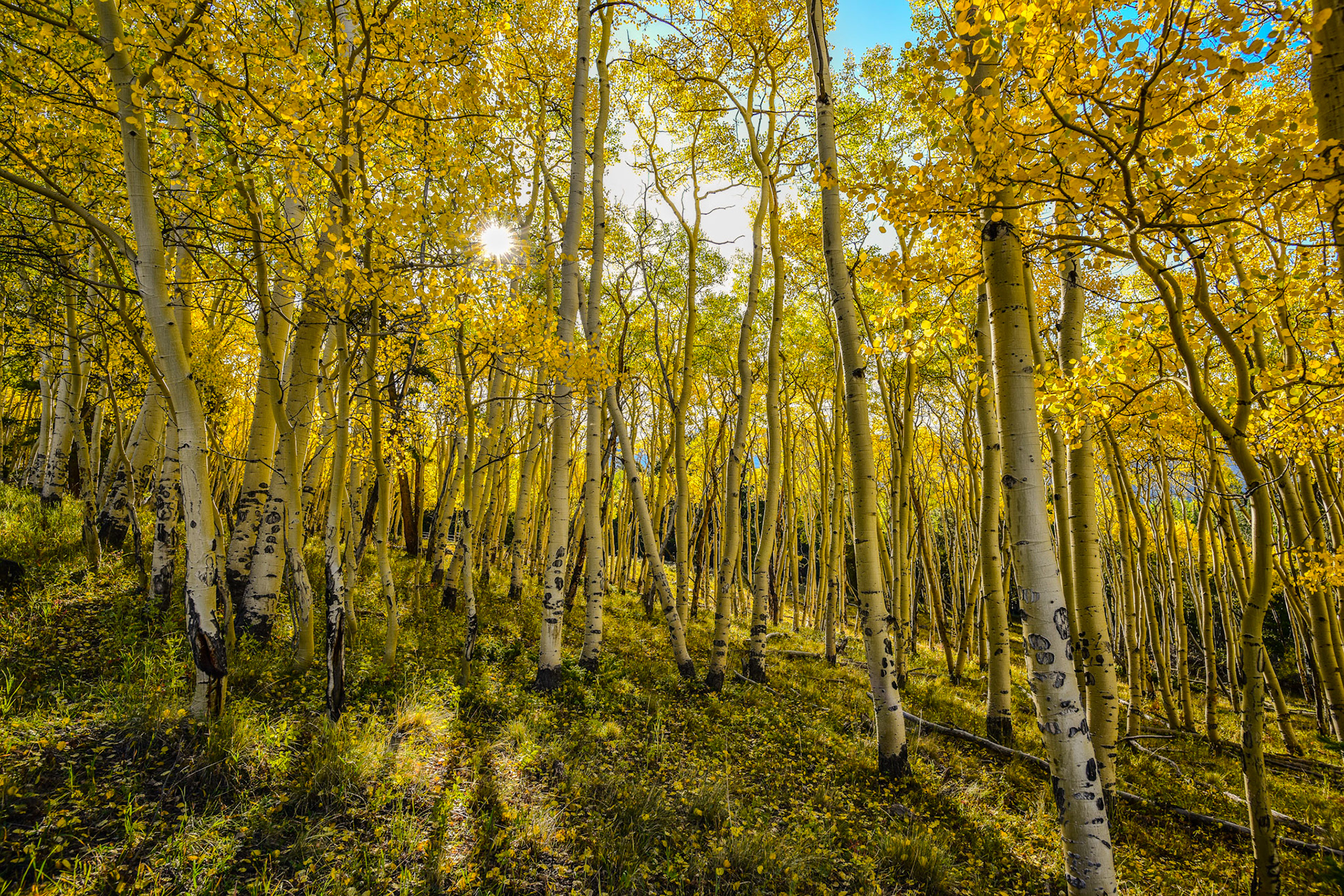 Another one I really can't find words to describe.  Just beyond happy with the image and how it makes me feel.  @kpphotogalleries.com