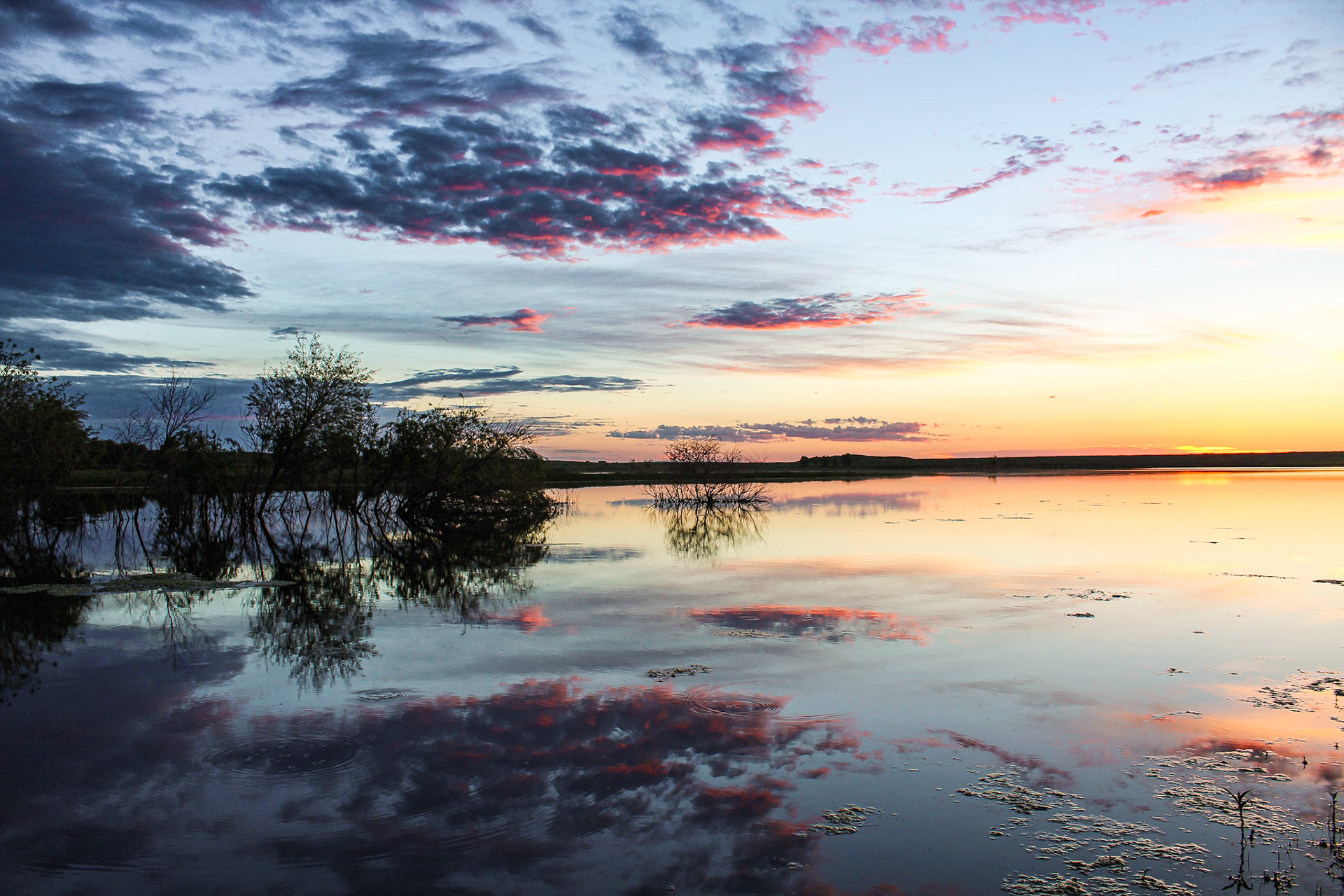 "Stillness"