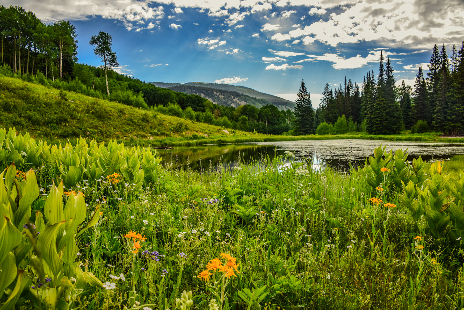 Same location as the reflections.  An unforgettable accident stumbling upon this spot.