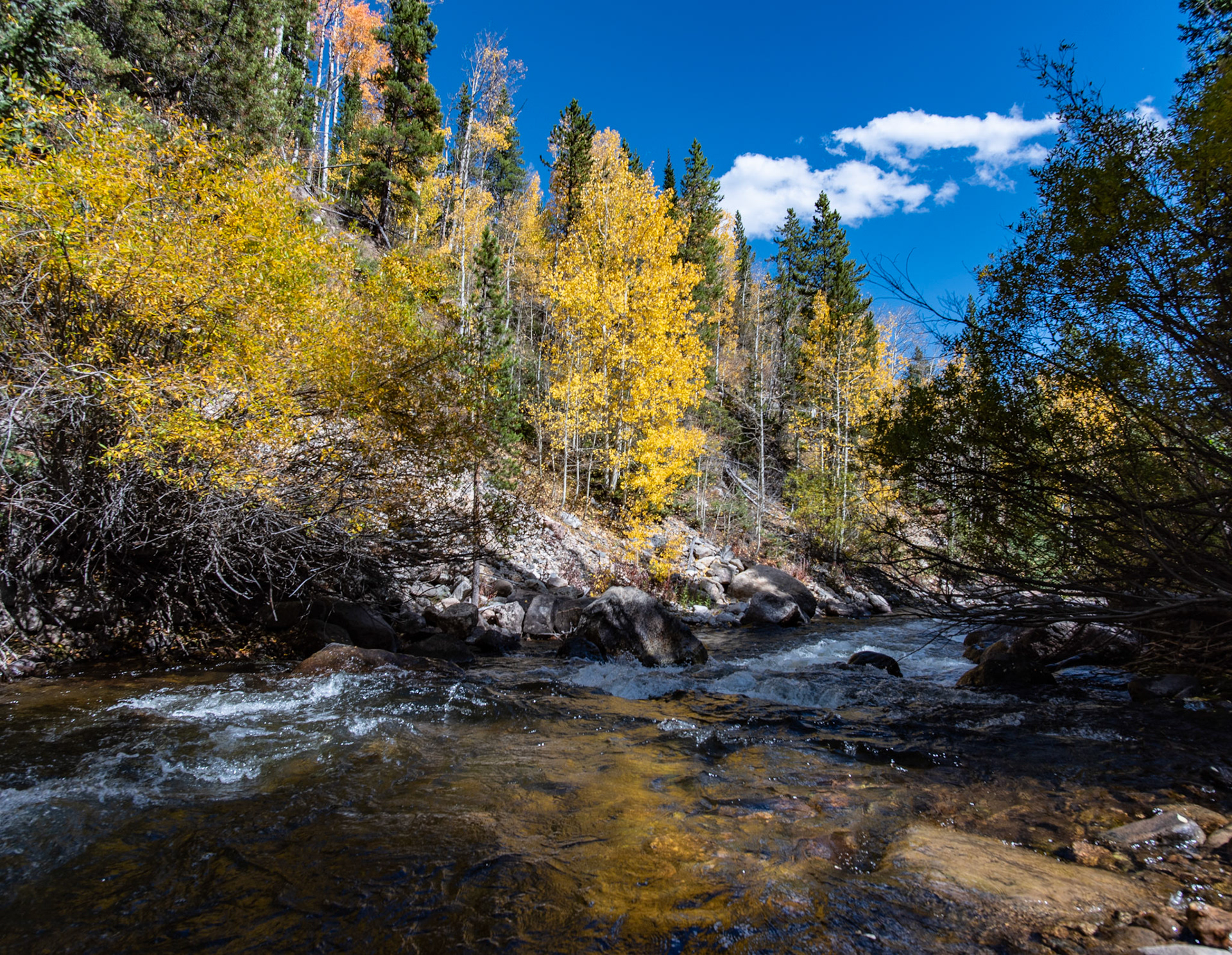 I love the single still pool of water that allows the reflection to immediately draw you in.