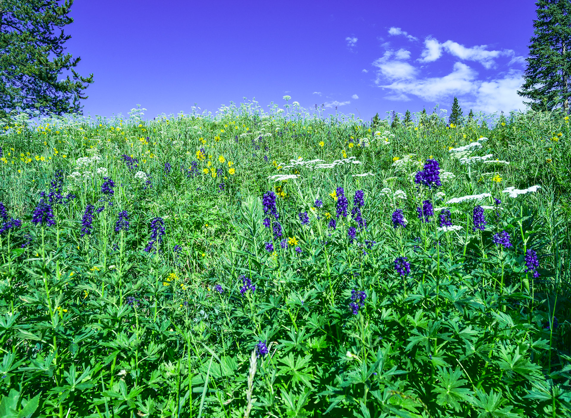 @kpphotogalleries.com