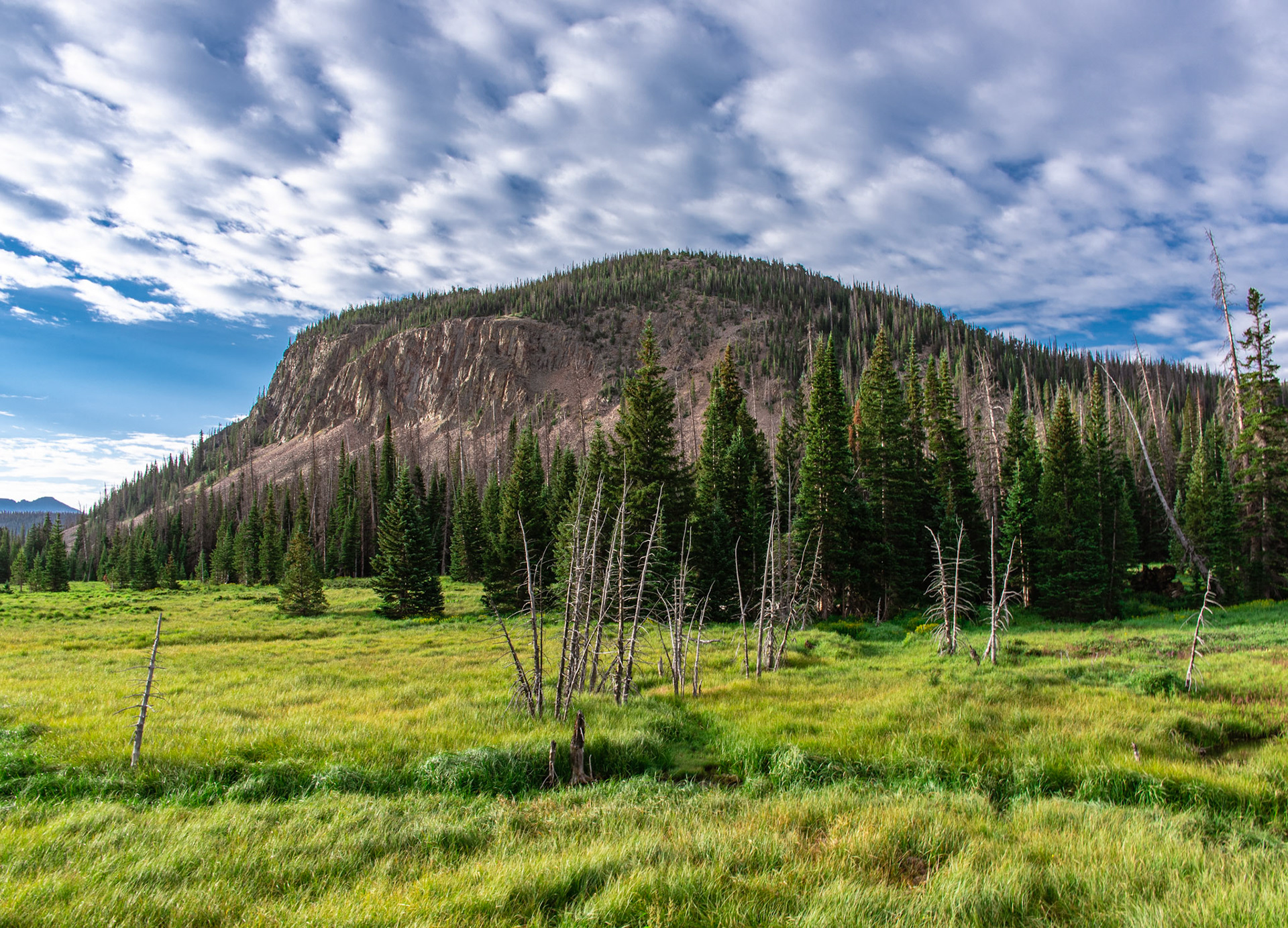 Trap Creek