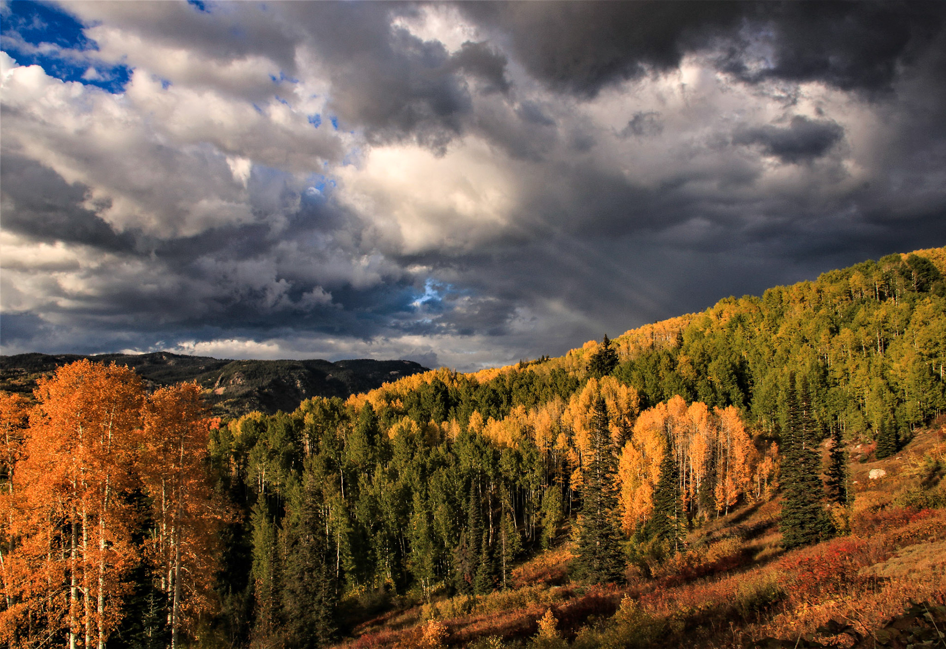 Buffalo Pass