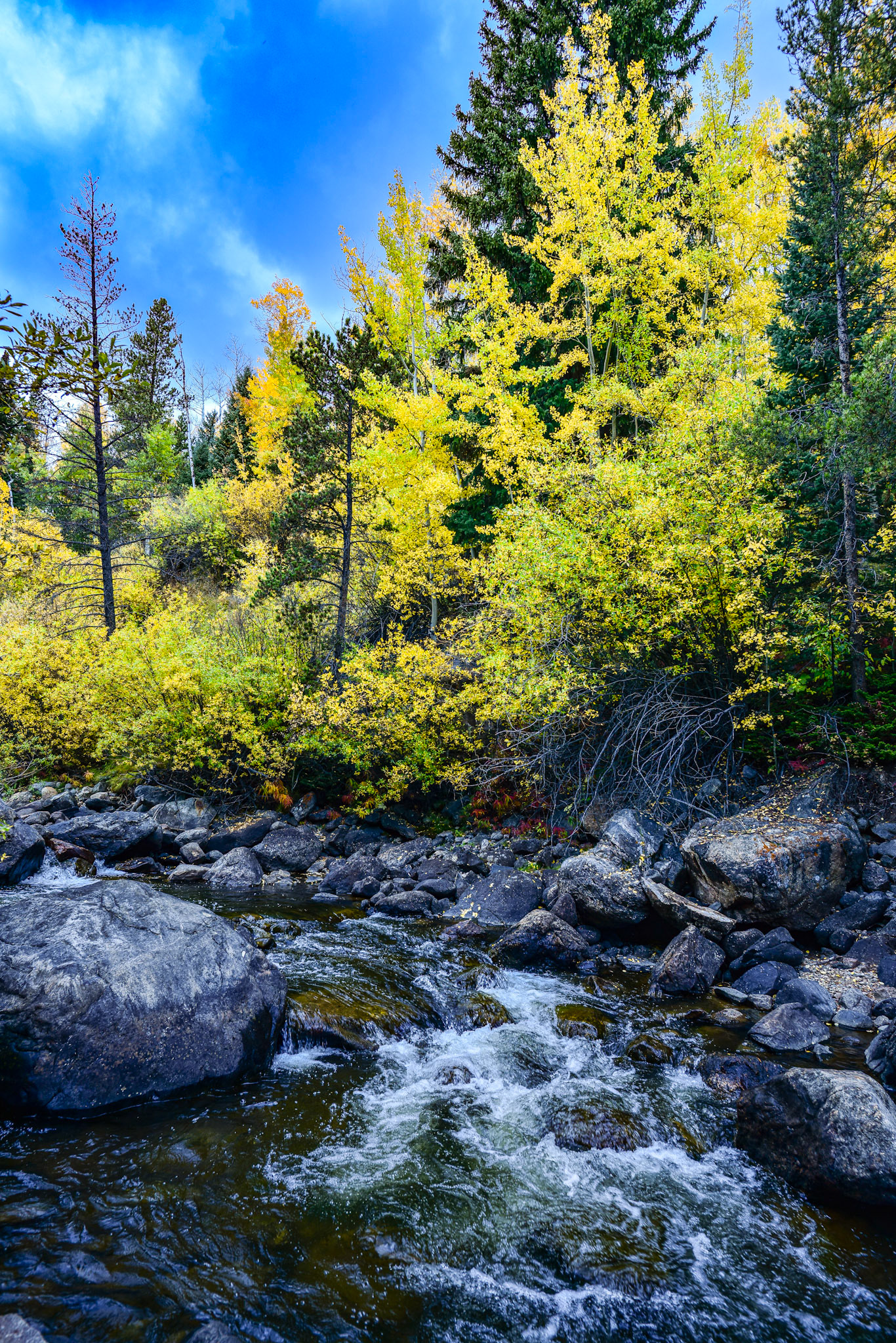 @kpphotogalleries.com