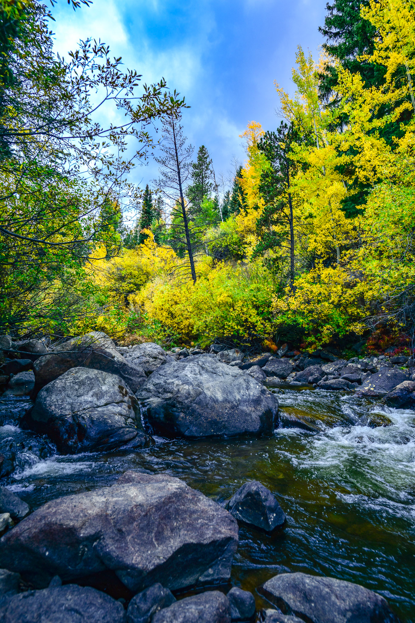 @kpphotogalleries.com