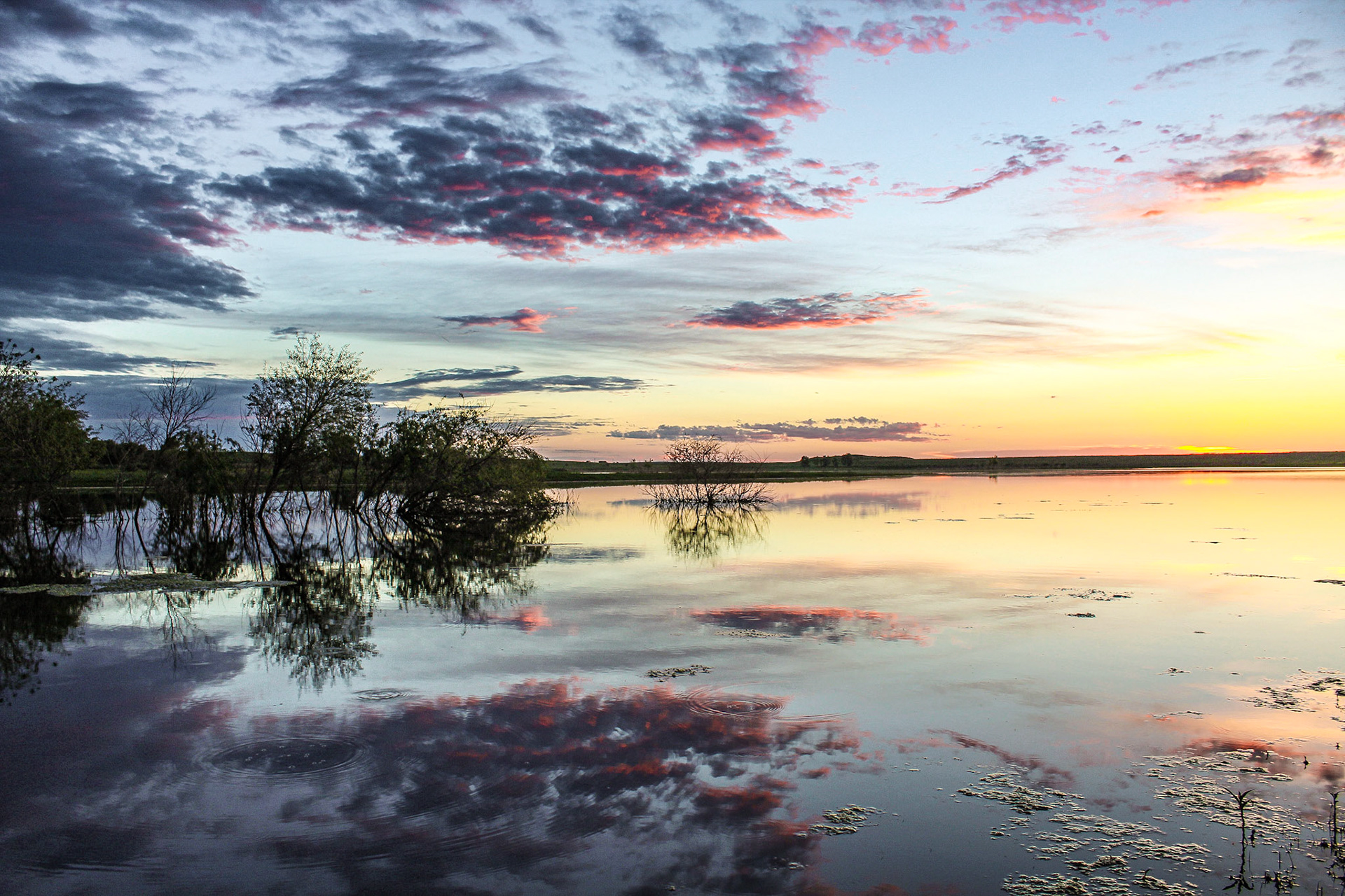 The inspiration to pursue this hobby.  I'll never forget this trip.