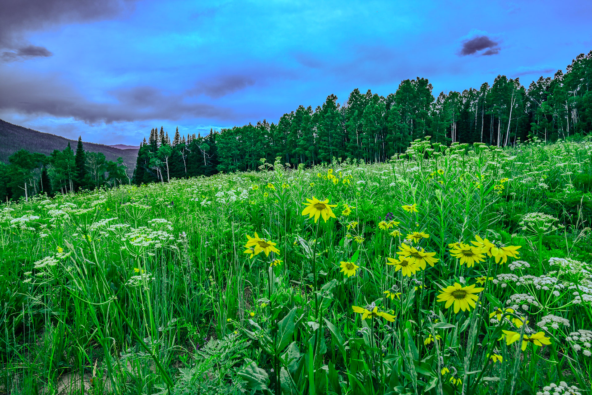 @kpphotogalleries.com