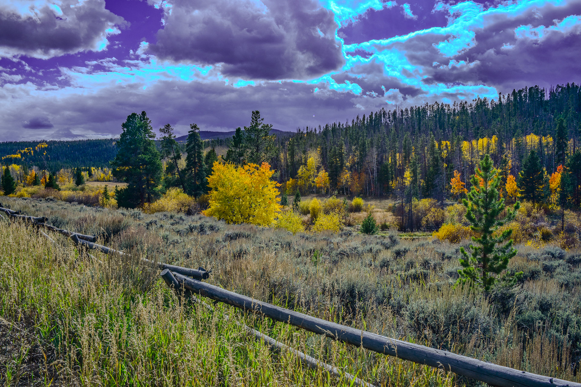 @kpphotogalleries.com