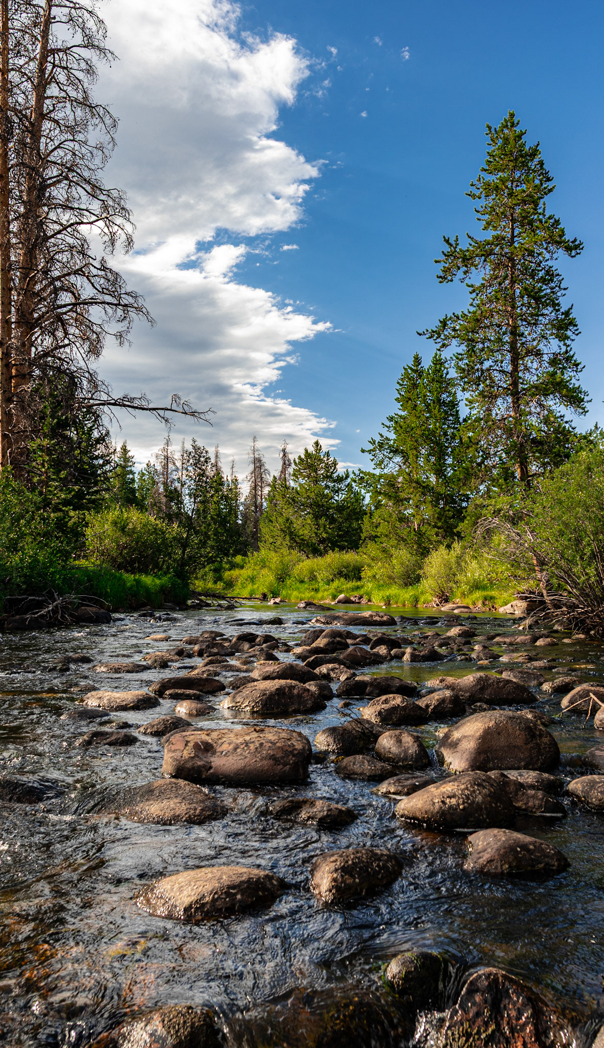 Extremely pleased with this shot.  Love the shrubbery and exposed rocks.  I think this is really cool.