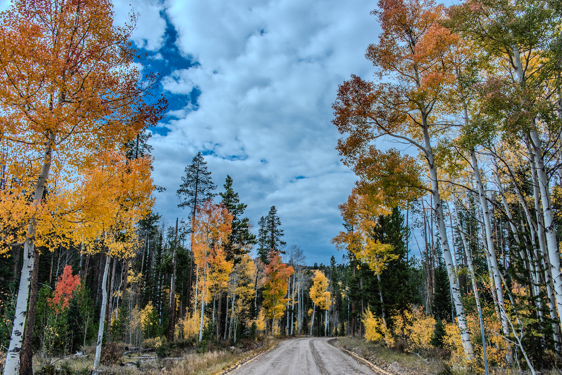 @kpphotogalleries.com