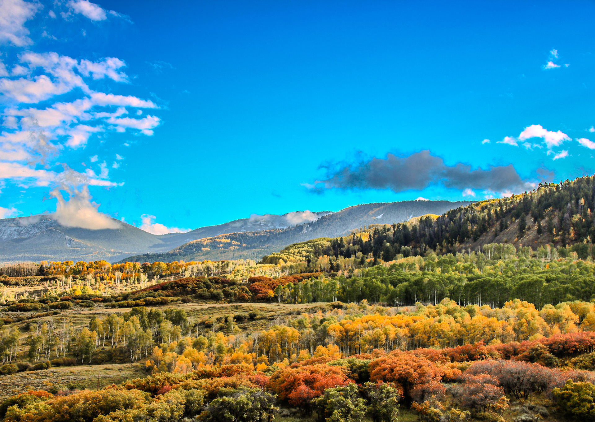 Just some vibrant color from a San Juan valley. @kpphotogalleries.com