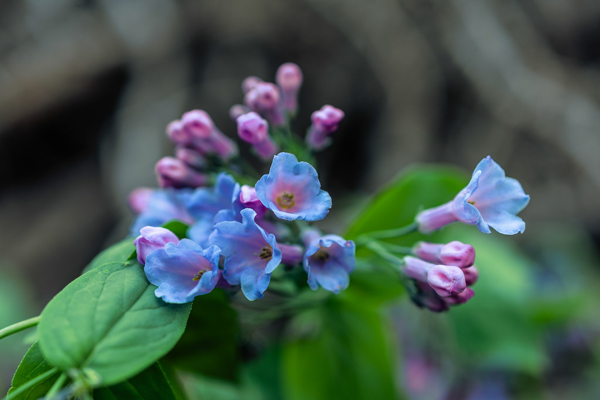 @kpphotogalleries.com