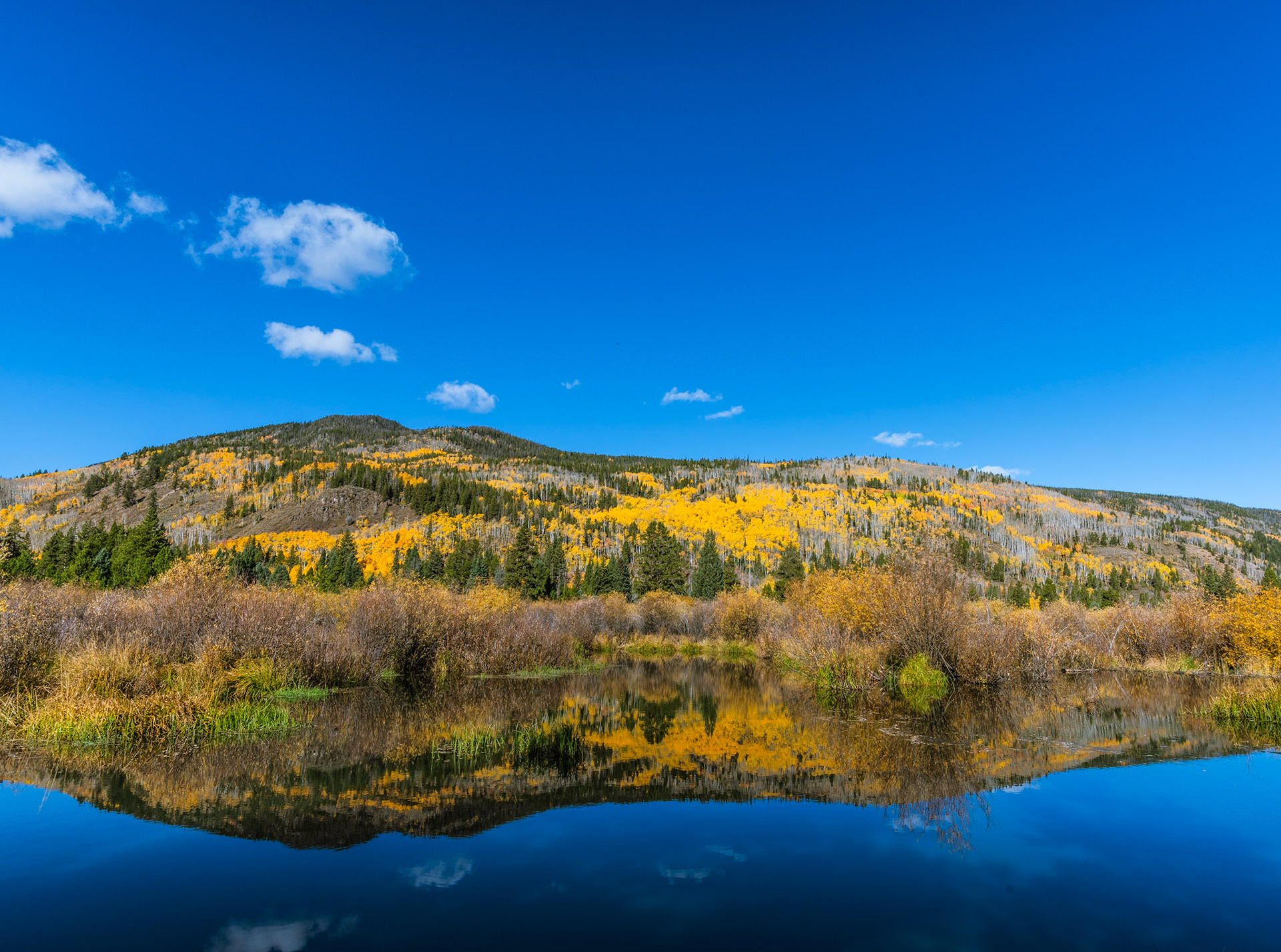 @kpphotogalleries.com