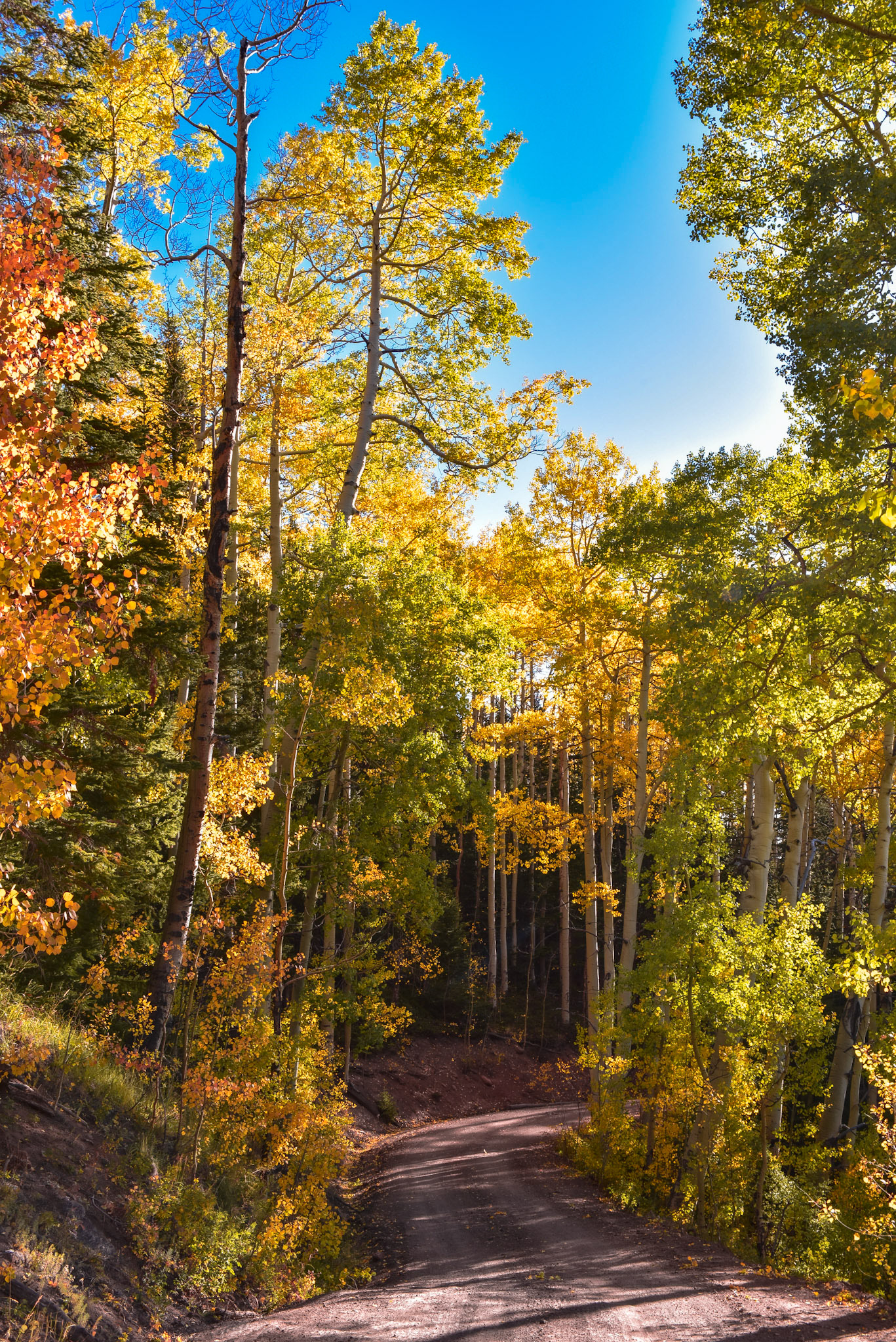 Will always be one of my favorites.  This valley is very special to me.