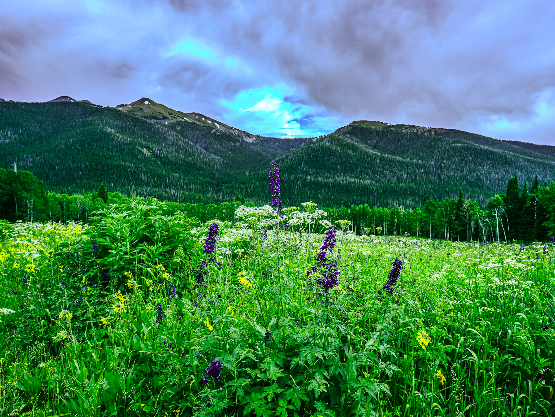 @kpphotogalleries.com