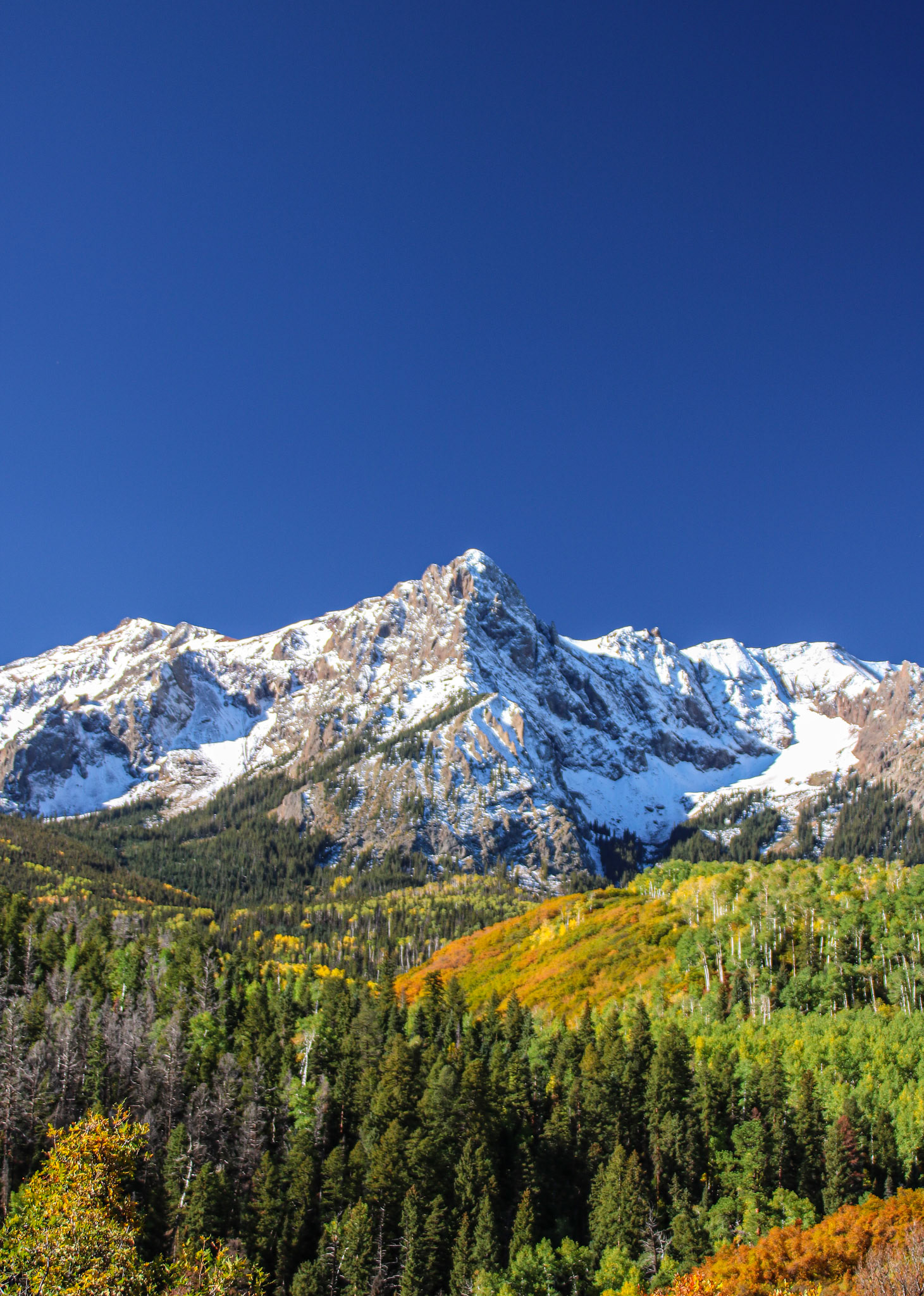Can't go wrong with a fresh dusting of snow and blue sky.  Albeit out of focus.  First actual photography trip in 2016.