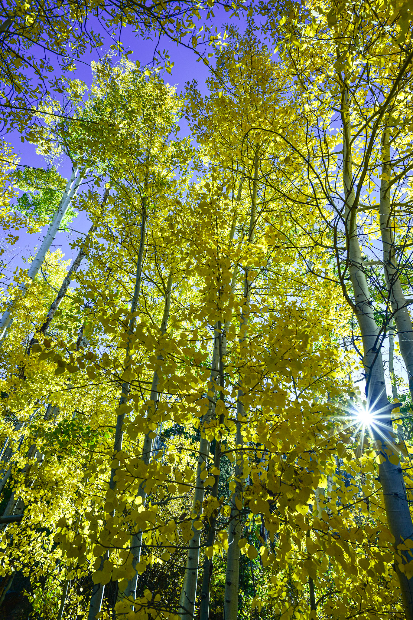 @kpphotogalleries.com