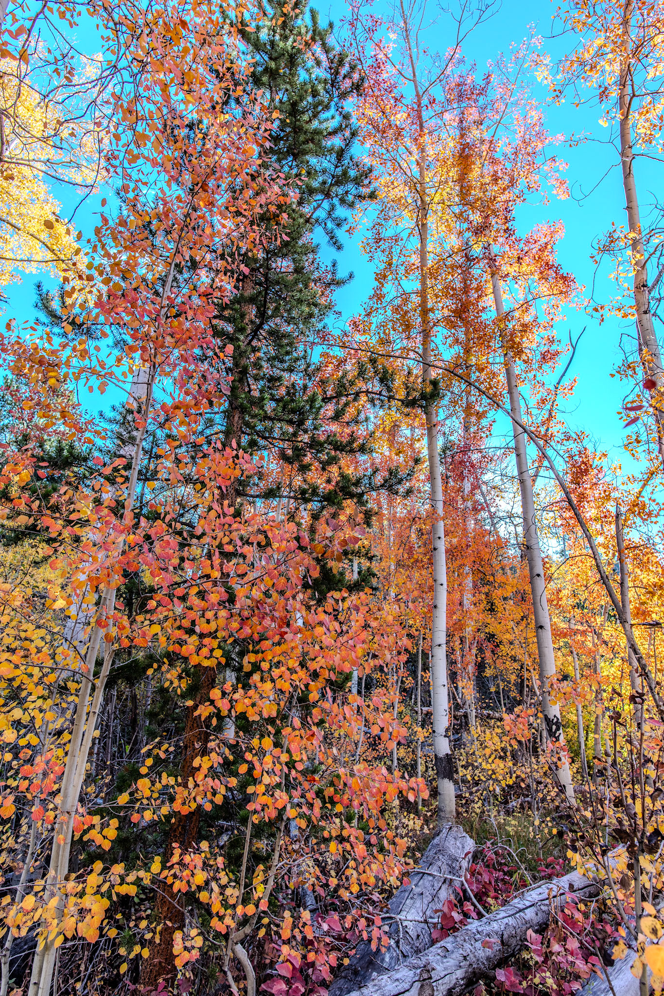 @kpphotogalleries.com