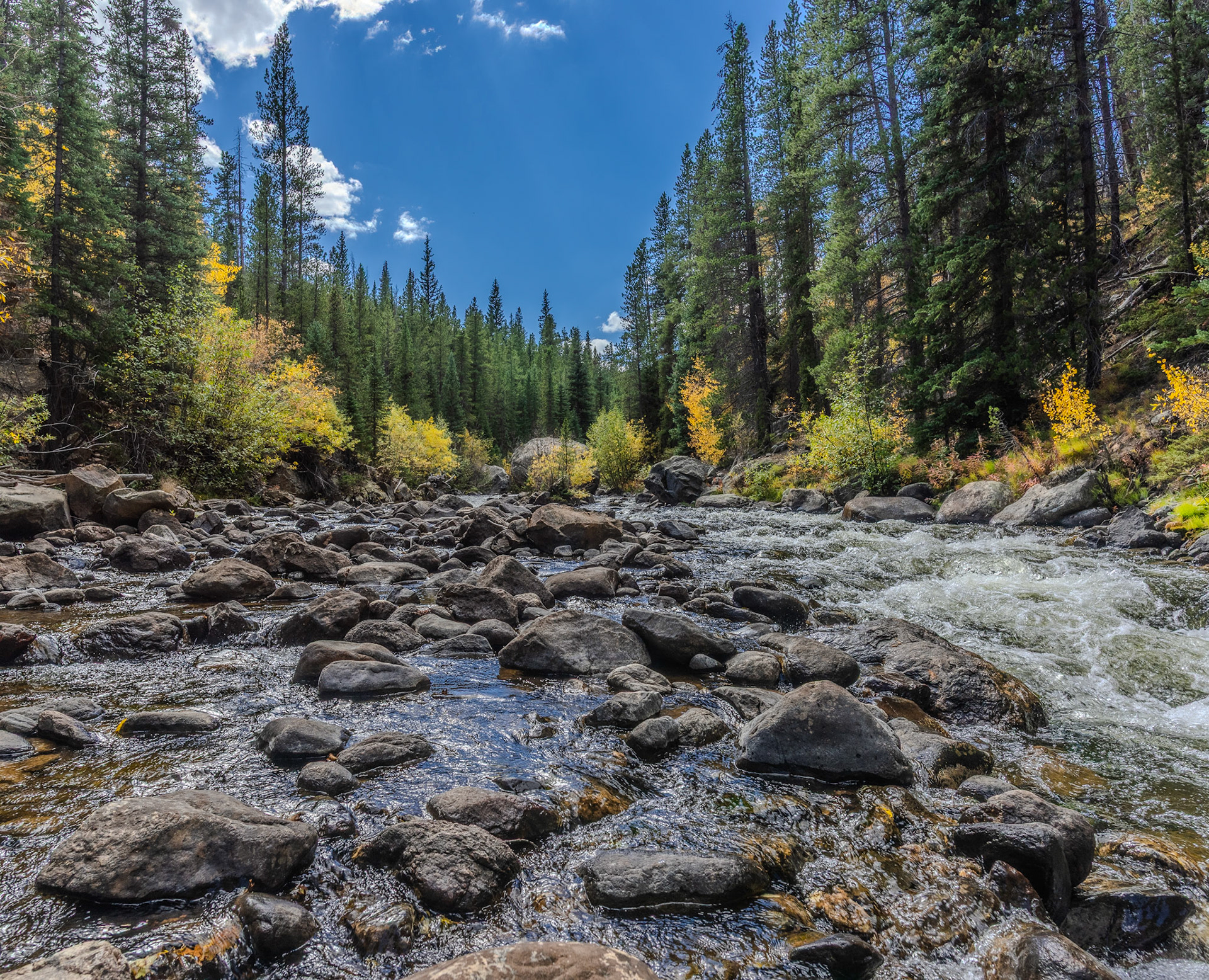 Very pleased with this one from the Cache la Poudre. @kpphotogalleries.com