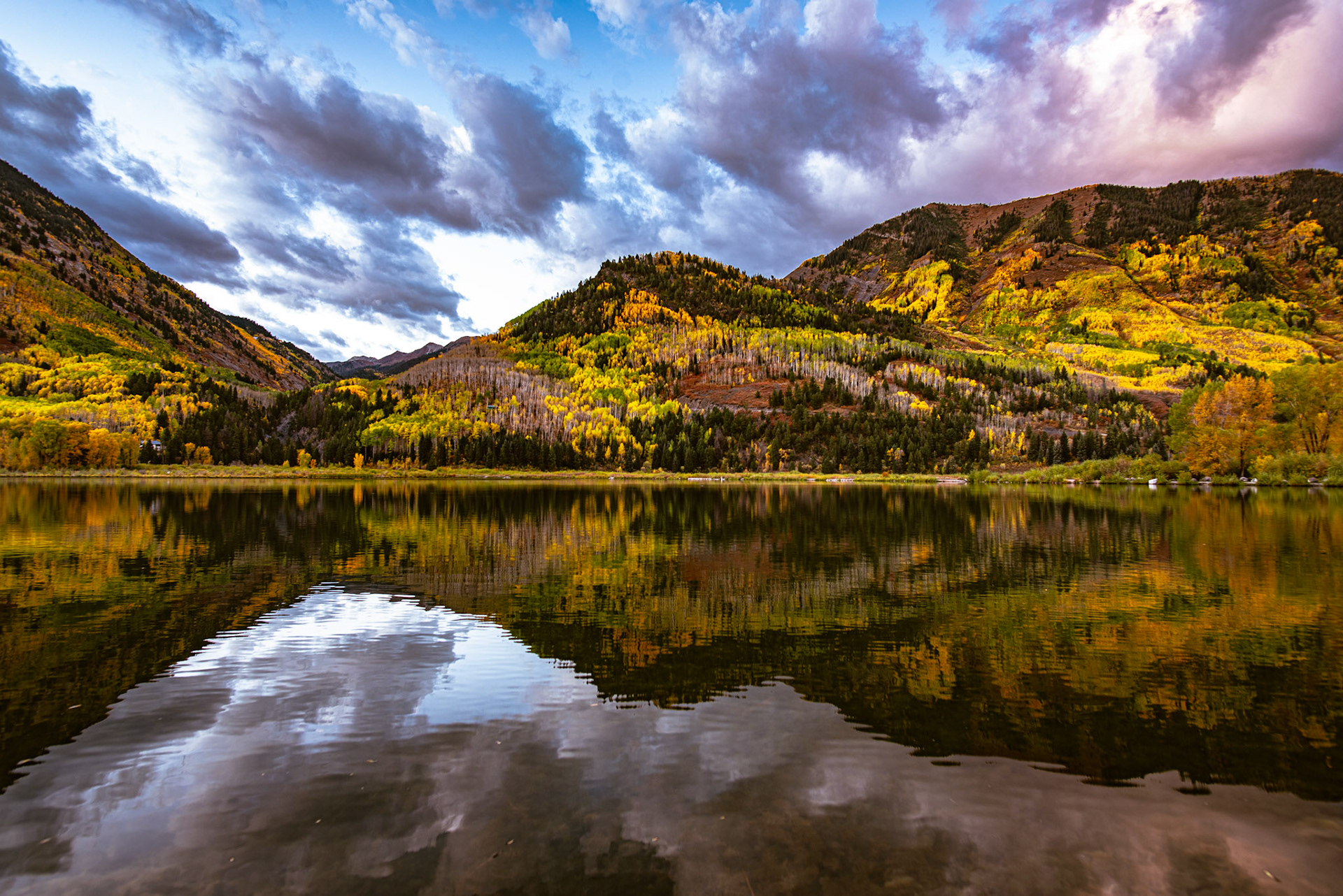 One of my least favorites upon first glance.  Worked my magic and came out super vibrant.