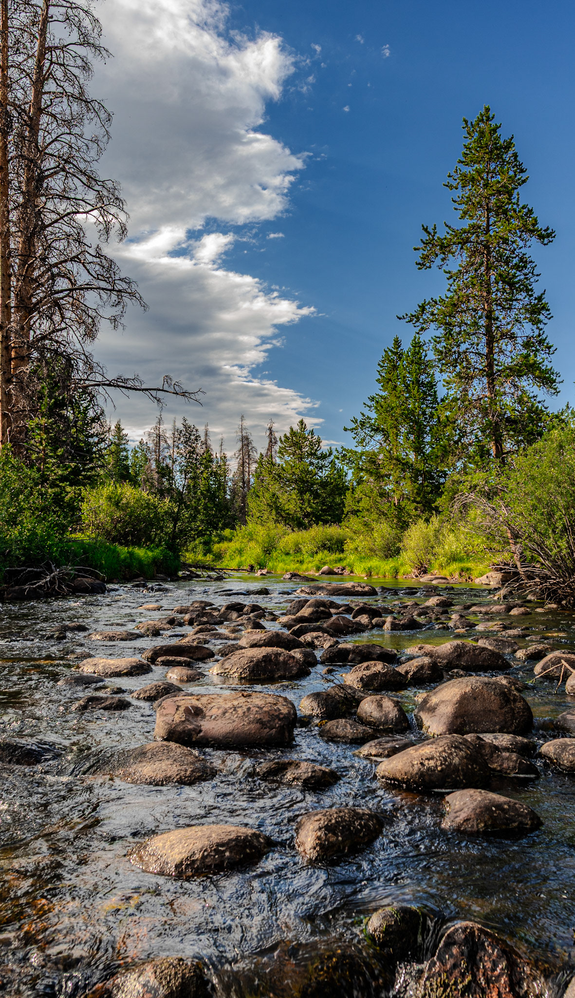 Extremely pleased with this shot.  Love the shrubbery and exposed rocks.  I think this is really cool.