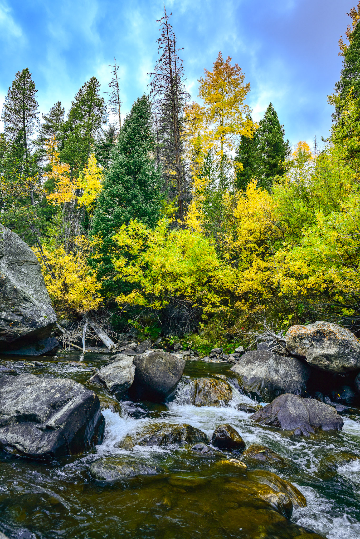 @kpphotogalleries.com