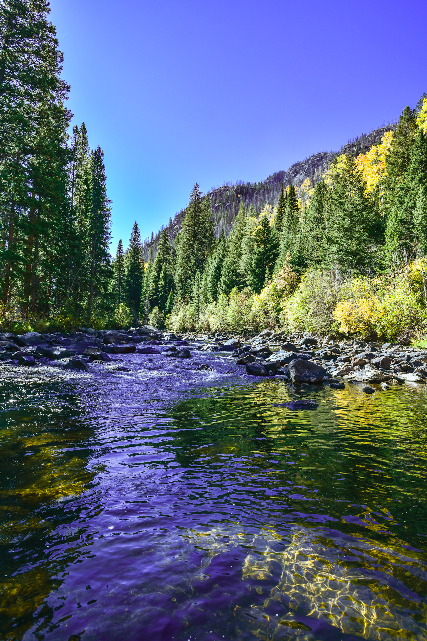 @kpphotogalleries.com