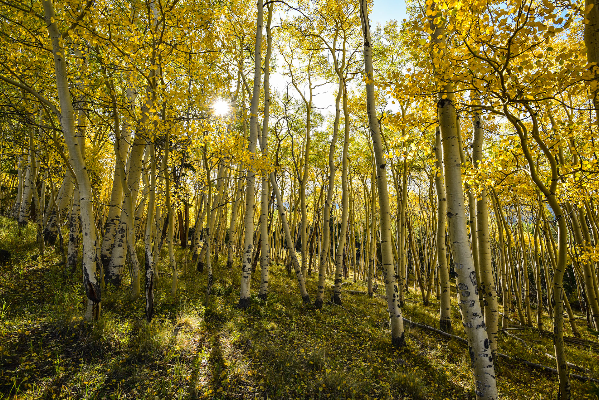 Another one I really can't find words to describe.  Just beyond happy with the image and how it makes me feel.