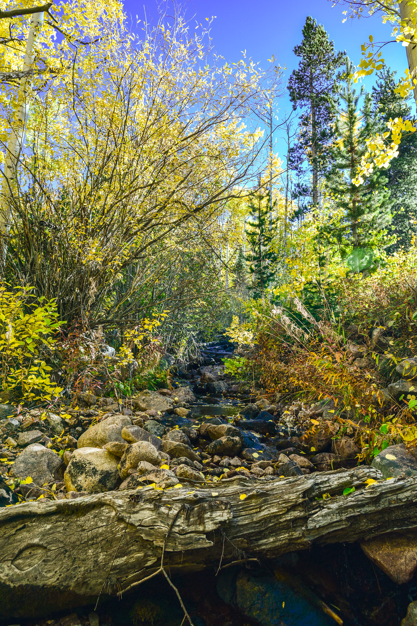 @kpphotogalleries.com