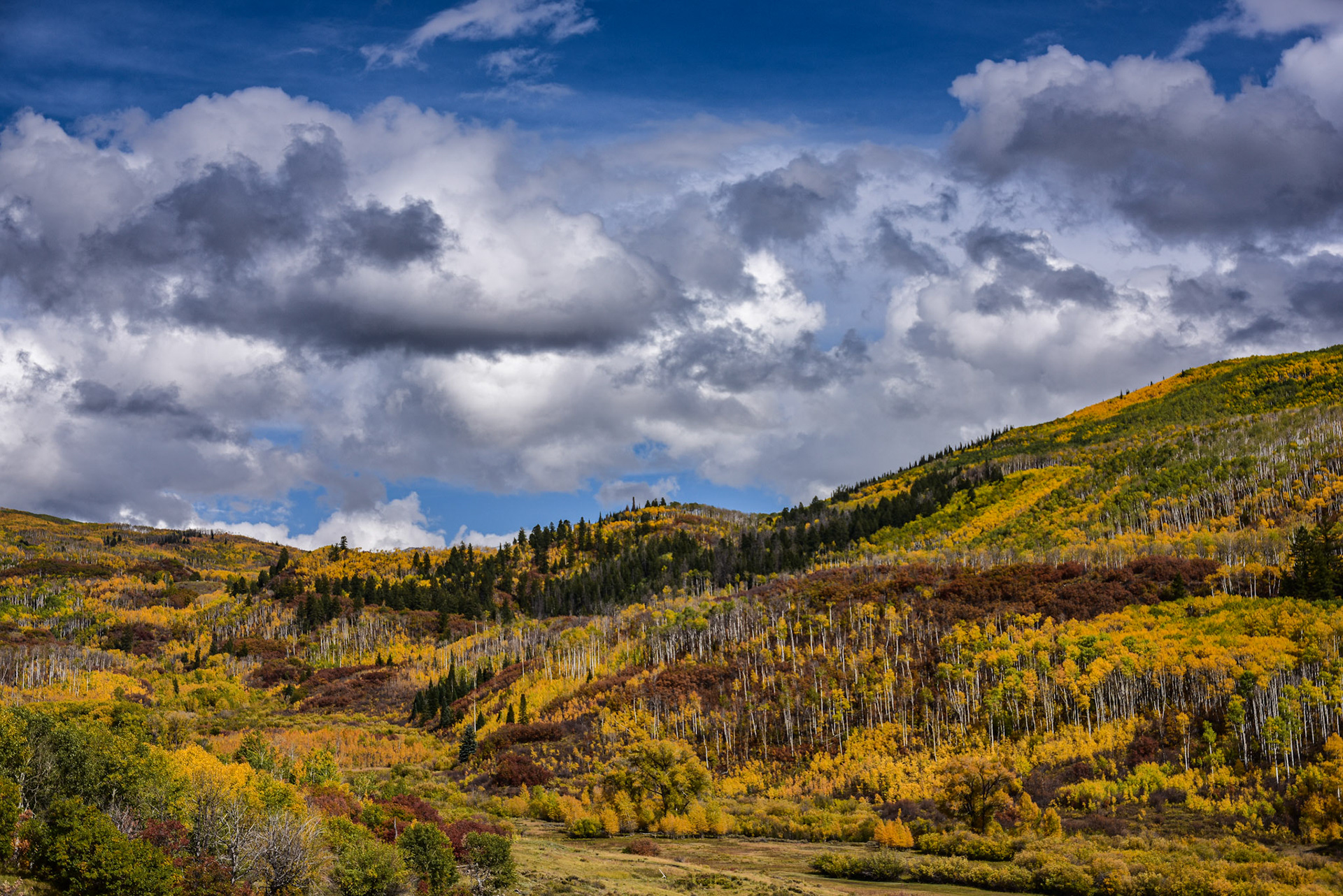 Raggeds Wilderness #2