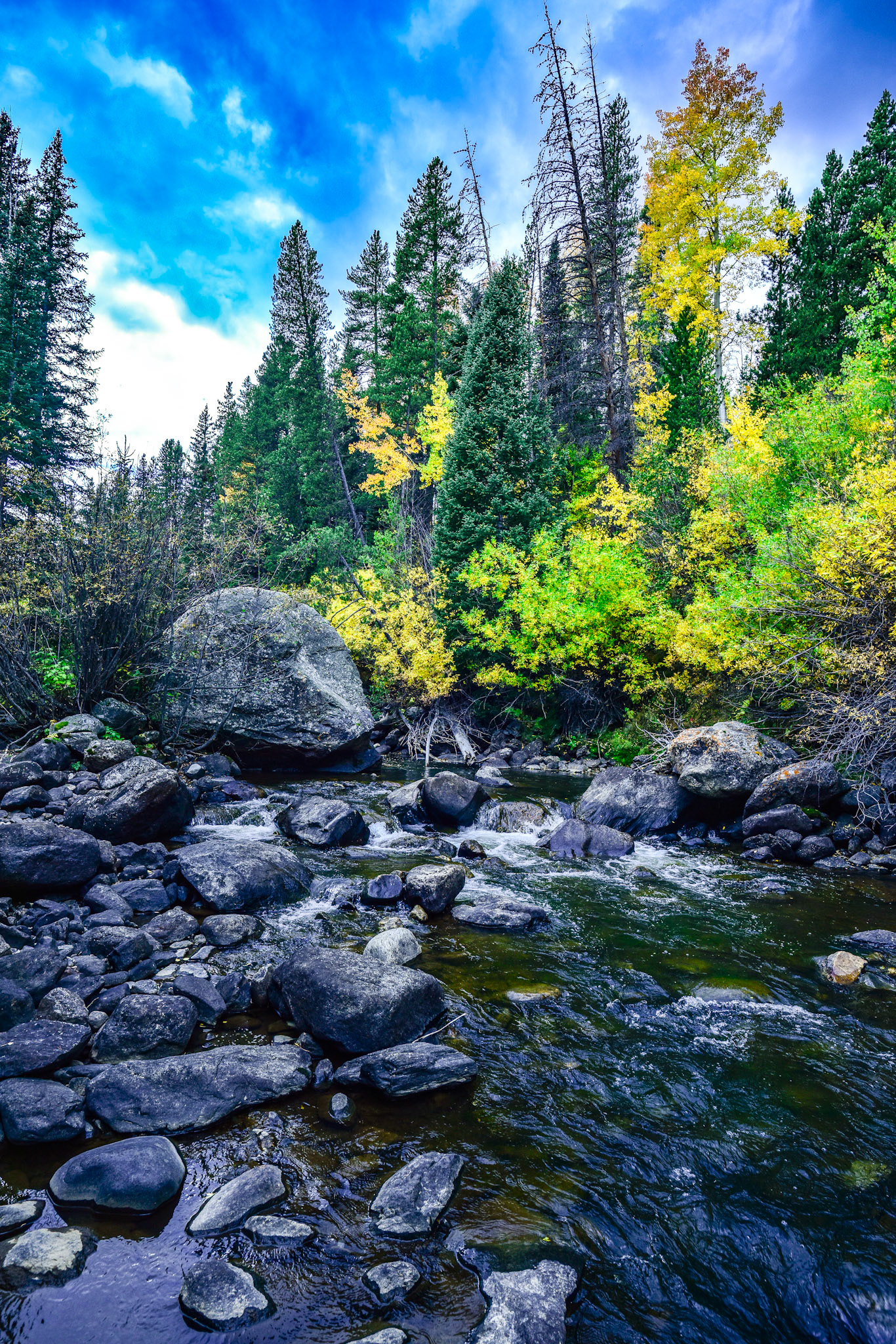 @kpphotogalleries.com