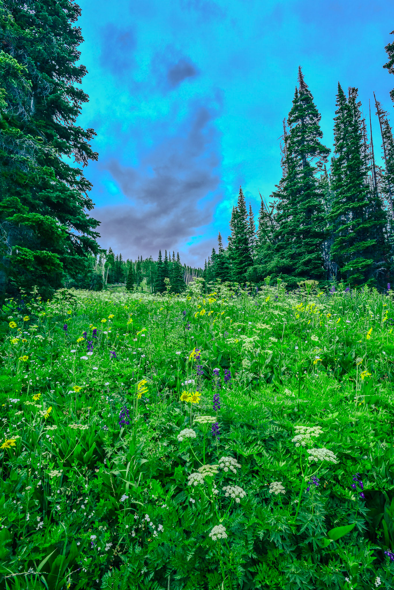 @kpphotogalleries.com