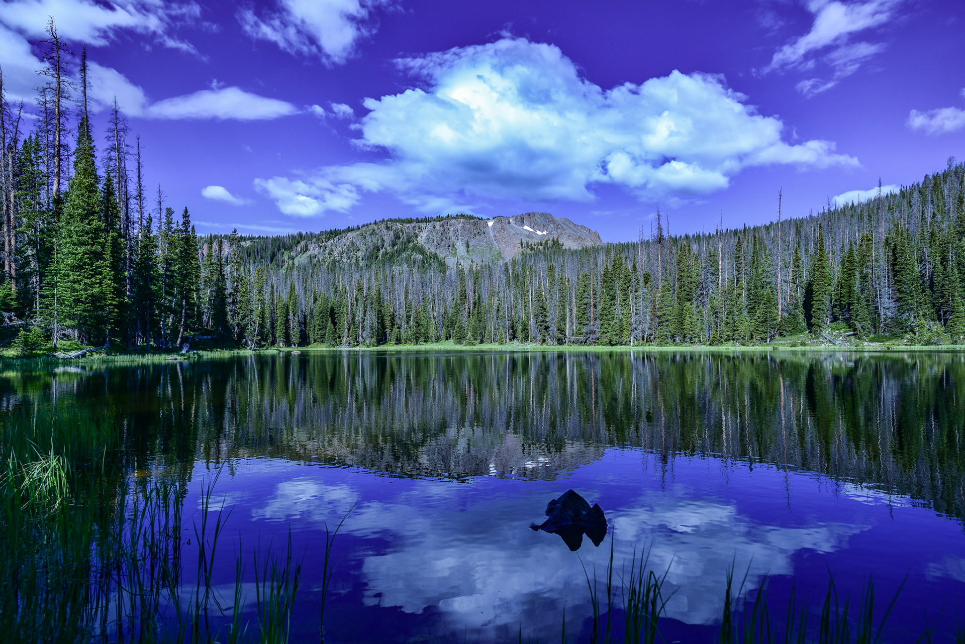 @kpphotogalleries.com