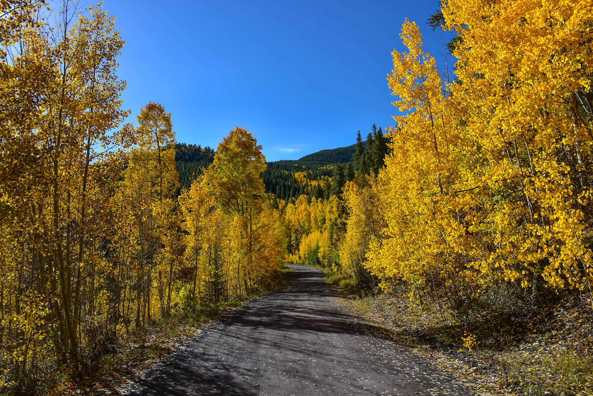 I've found it easy to capture frame worthy images using dirt roads as lead ins.  @kpphotogalleries.com