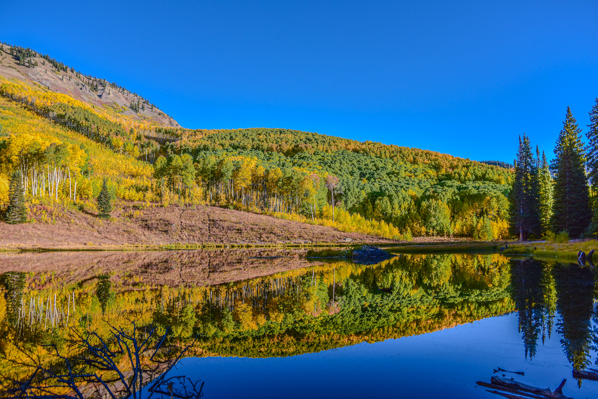 I've taken a lot of pics on this trail.  It's easy to see why.  @kpphotogalleries.com