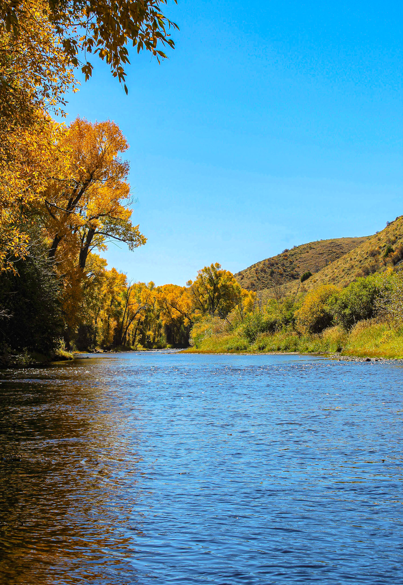 The first Autumn scene I ever captured.  Dangling from a branch and aimed my camera.