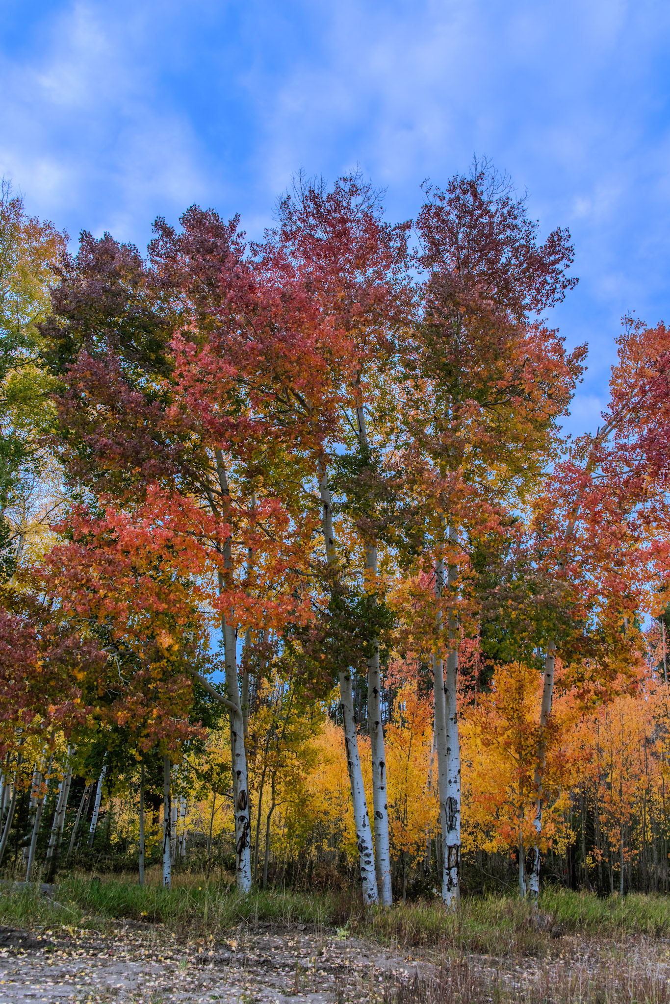 @kpphotogalleries.com